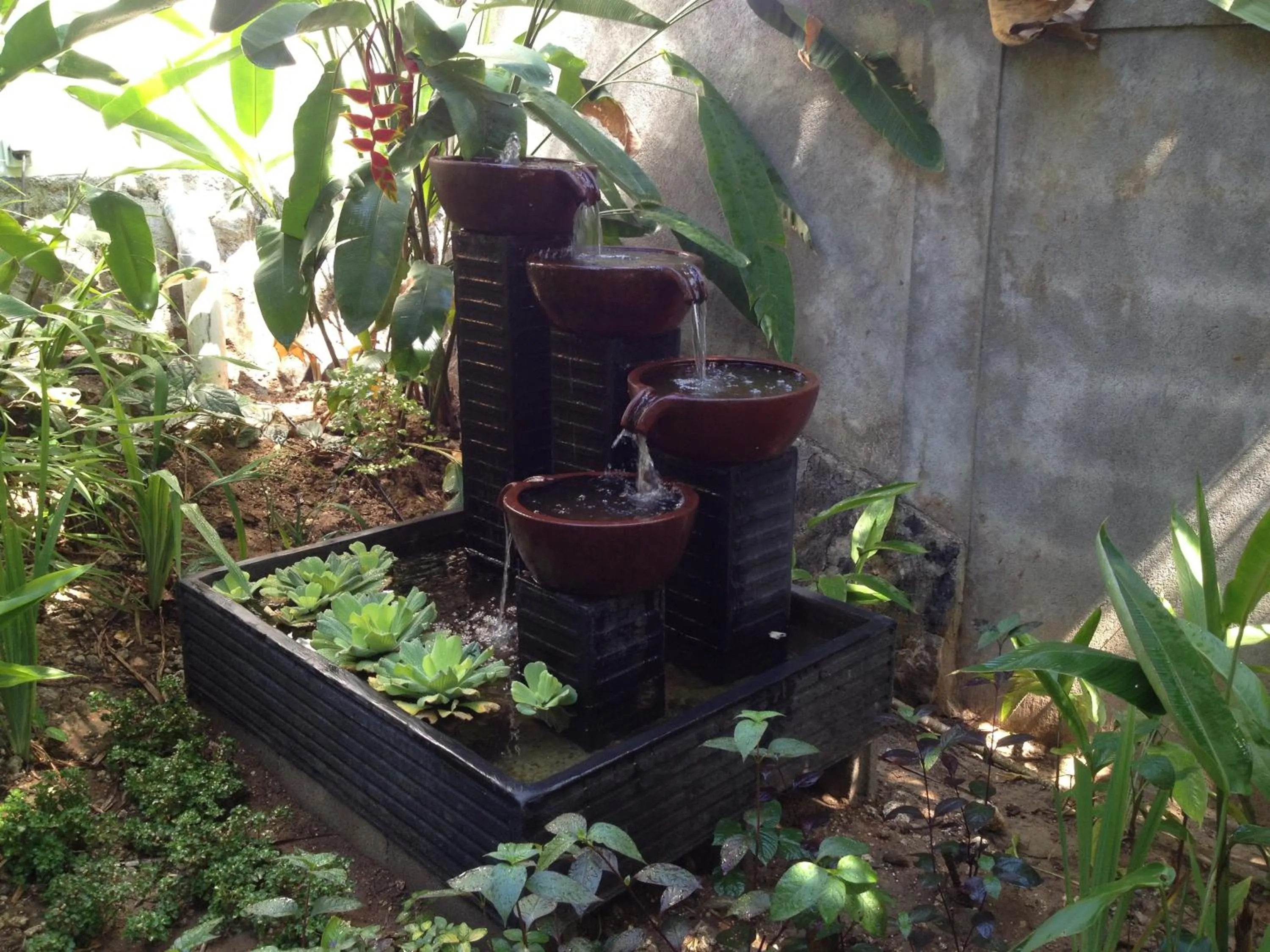 Garden in Guesthouse The 4 Fish