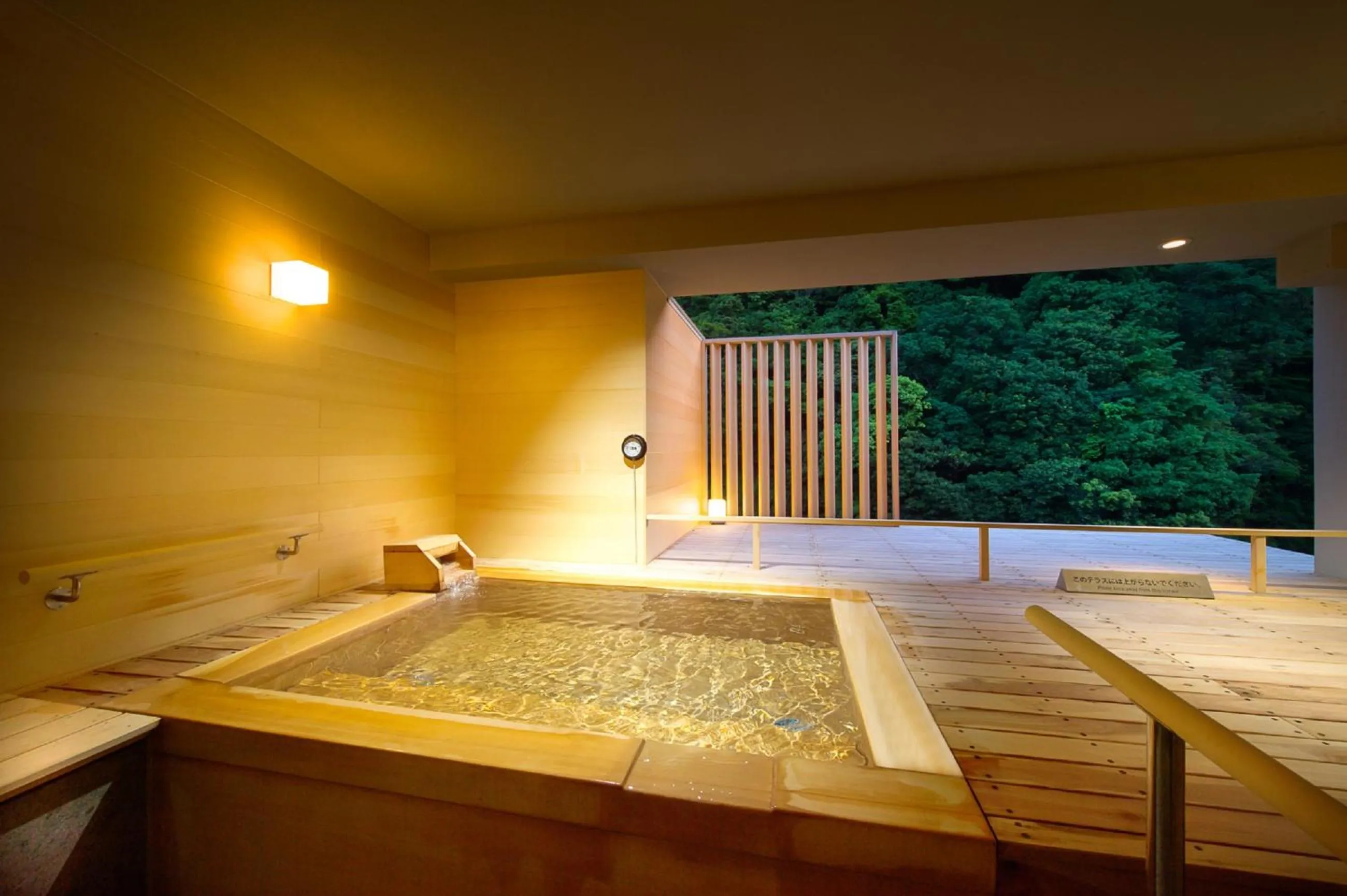 Hot Spring Bath in Hakone Pax Yoshino