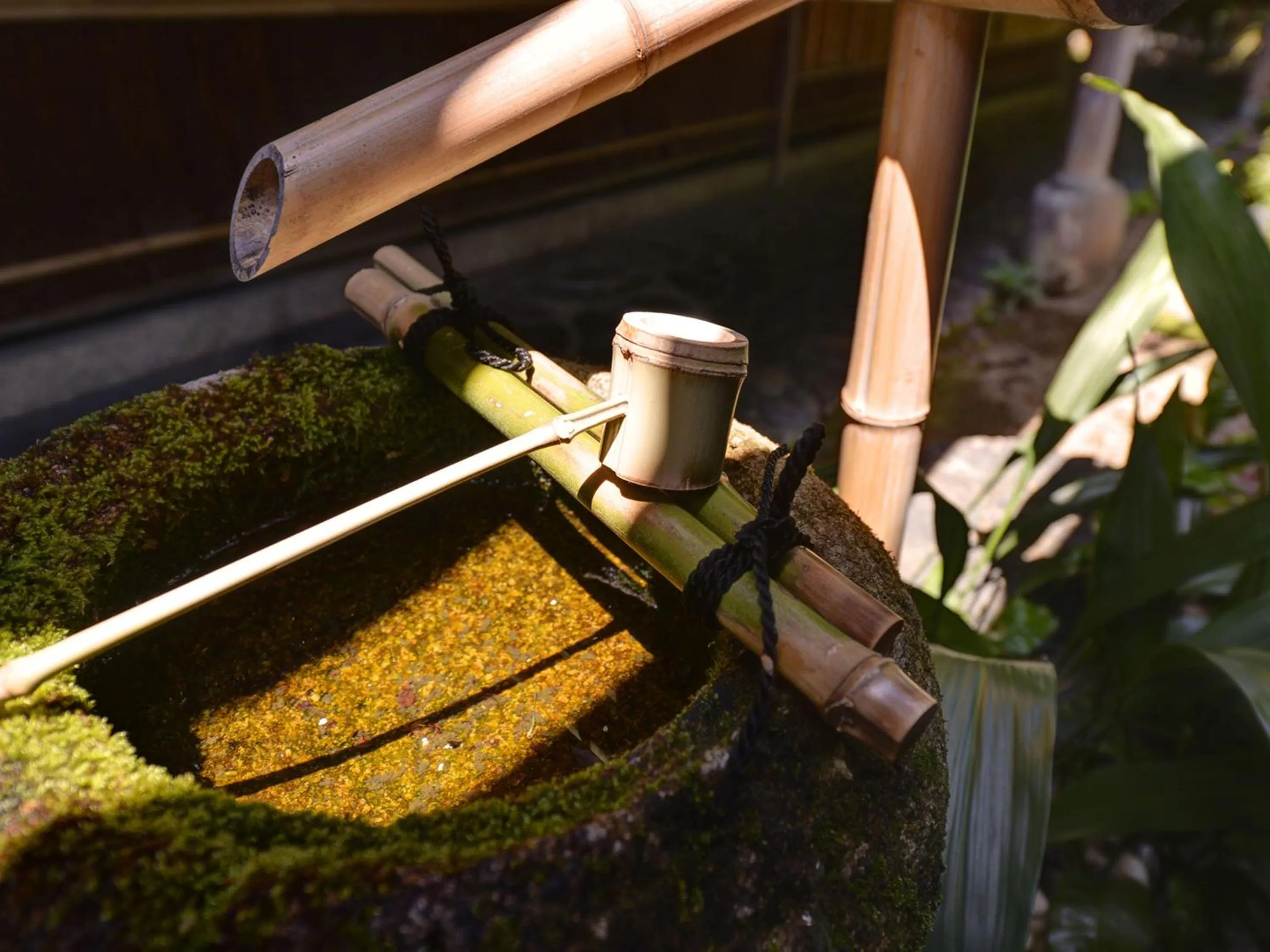 Garden in Ryokan Inakatei
