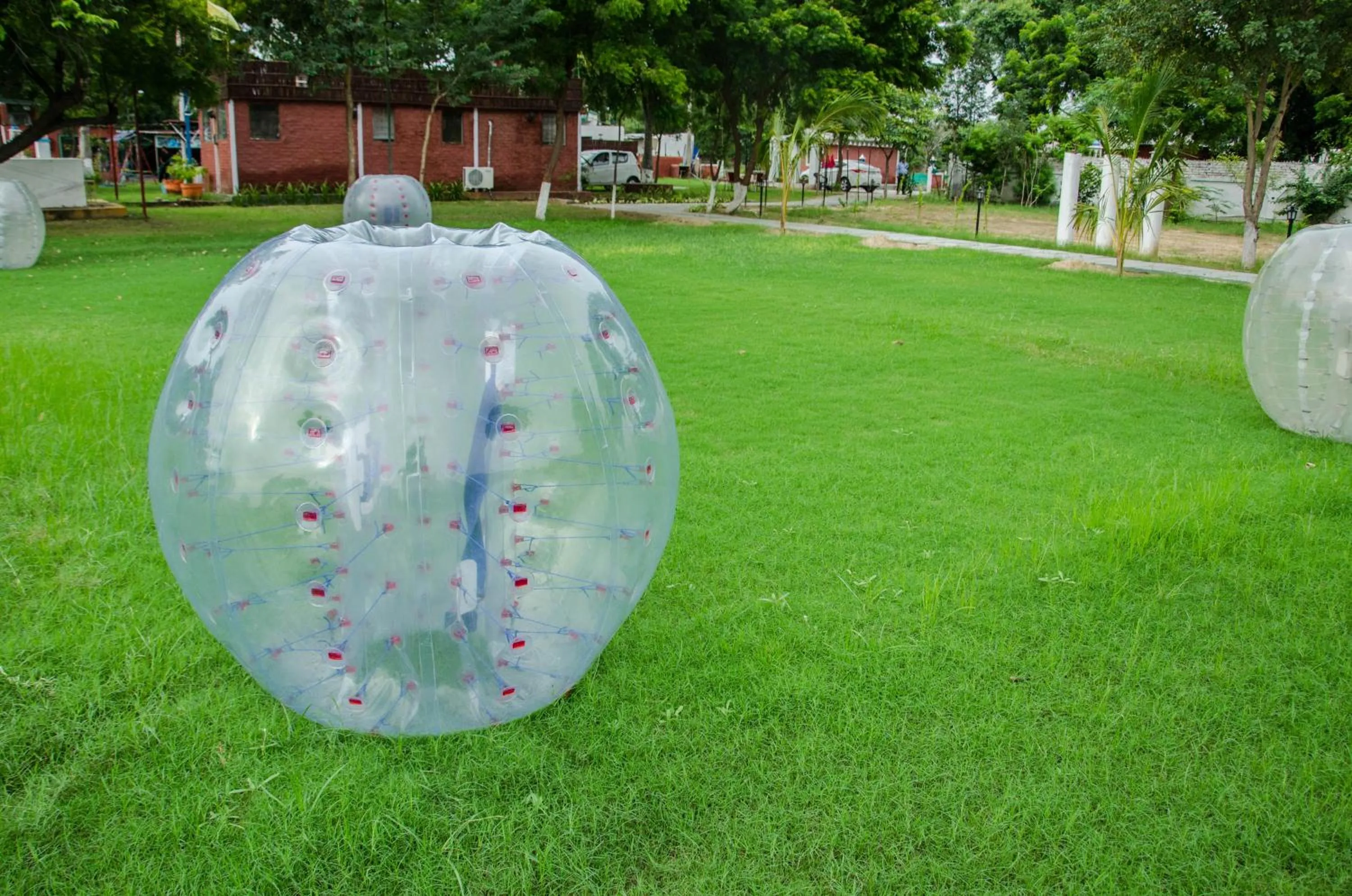 Garden in The timber garden adventure club