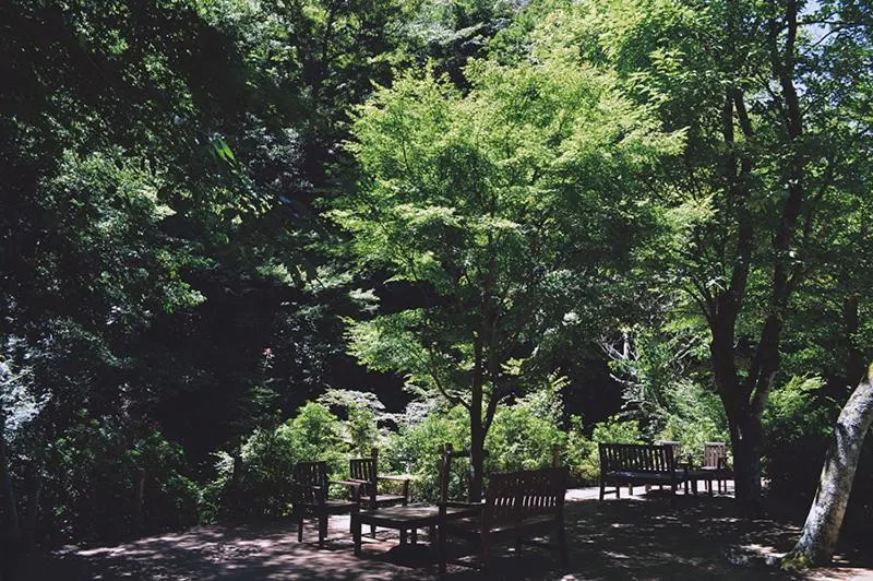 Day in Tofuya Resort&Spa-Izu