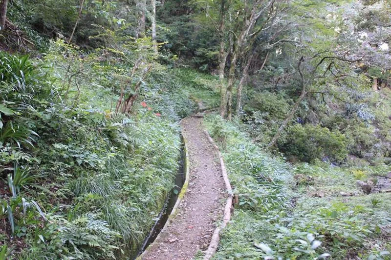 Natural landscape in Tofuya Resort&Spa-Izu