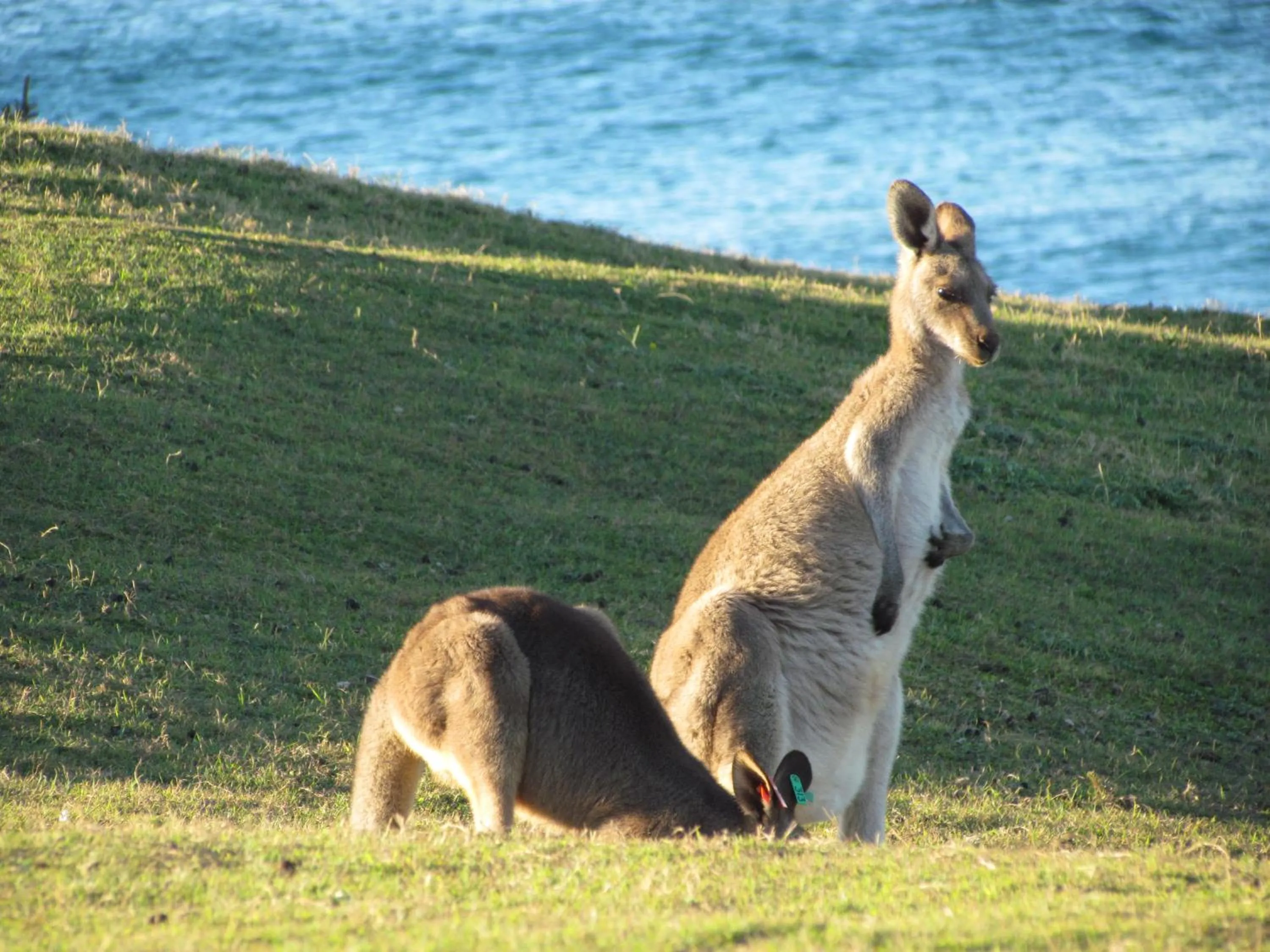 Lake Russell Retreat