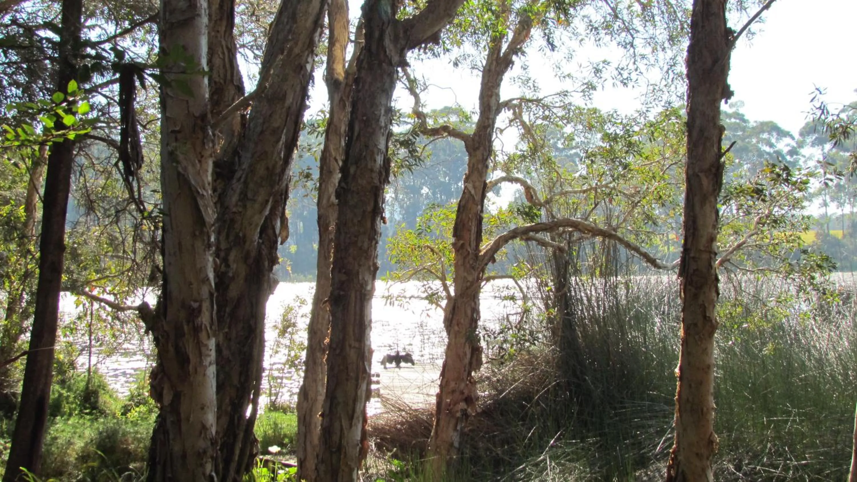 Lake Russell Retreat