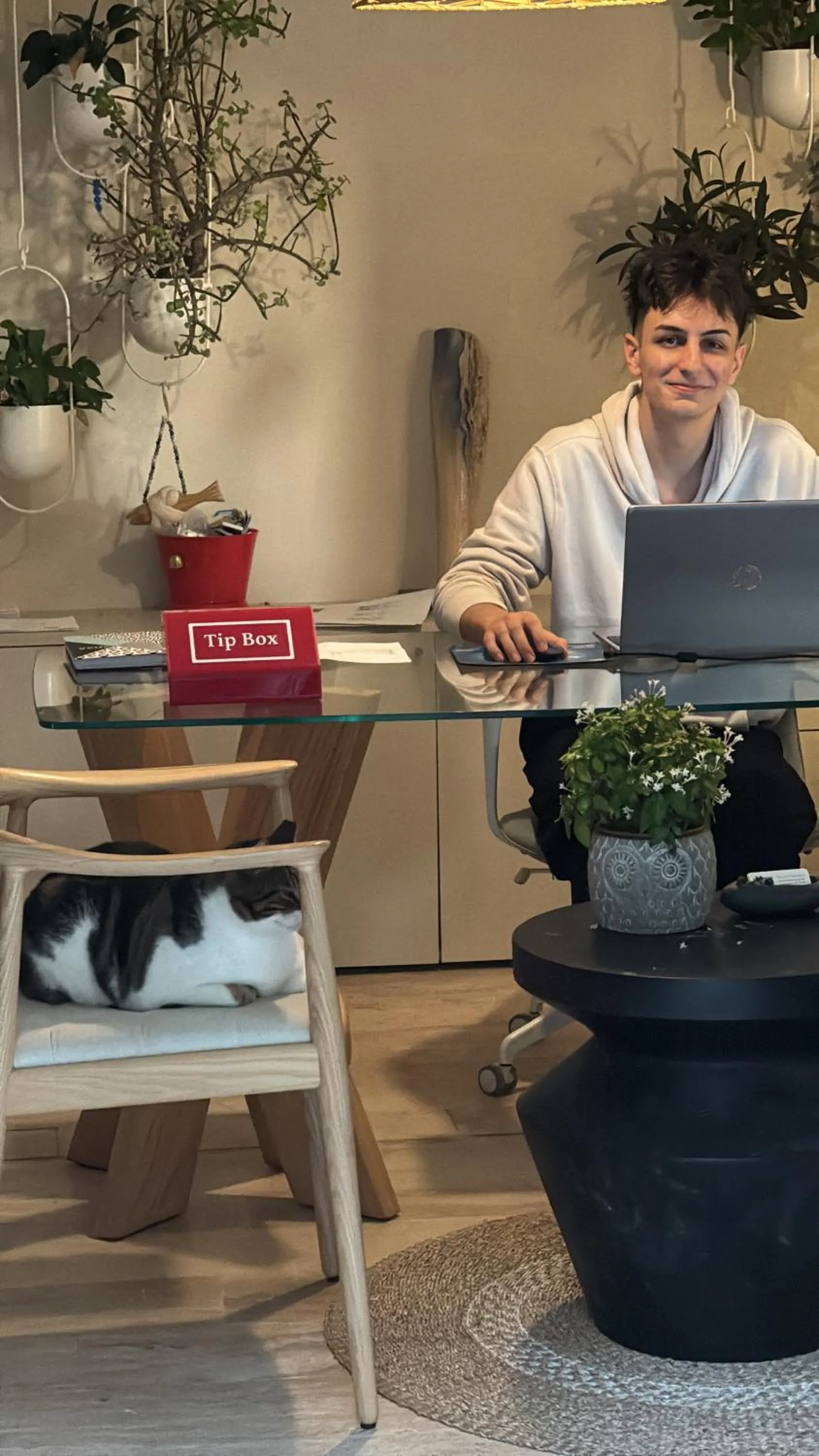 Lobby or reception in True Blue Boutique Hotel Kalkan