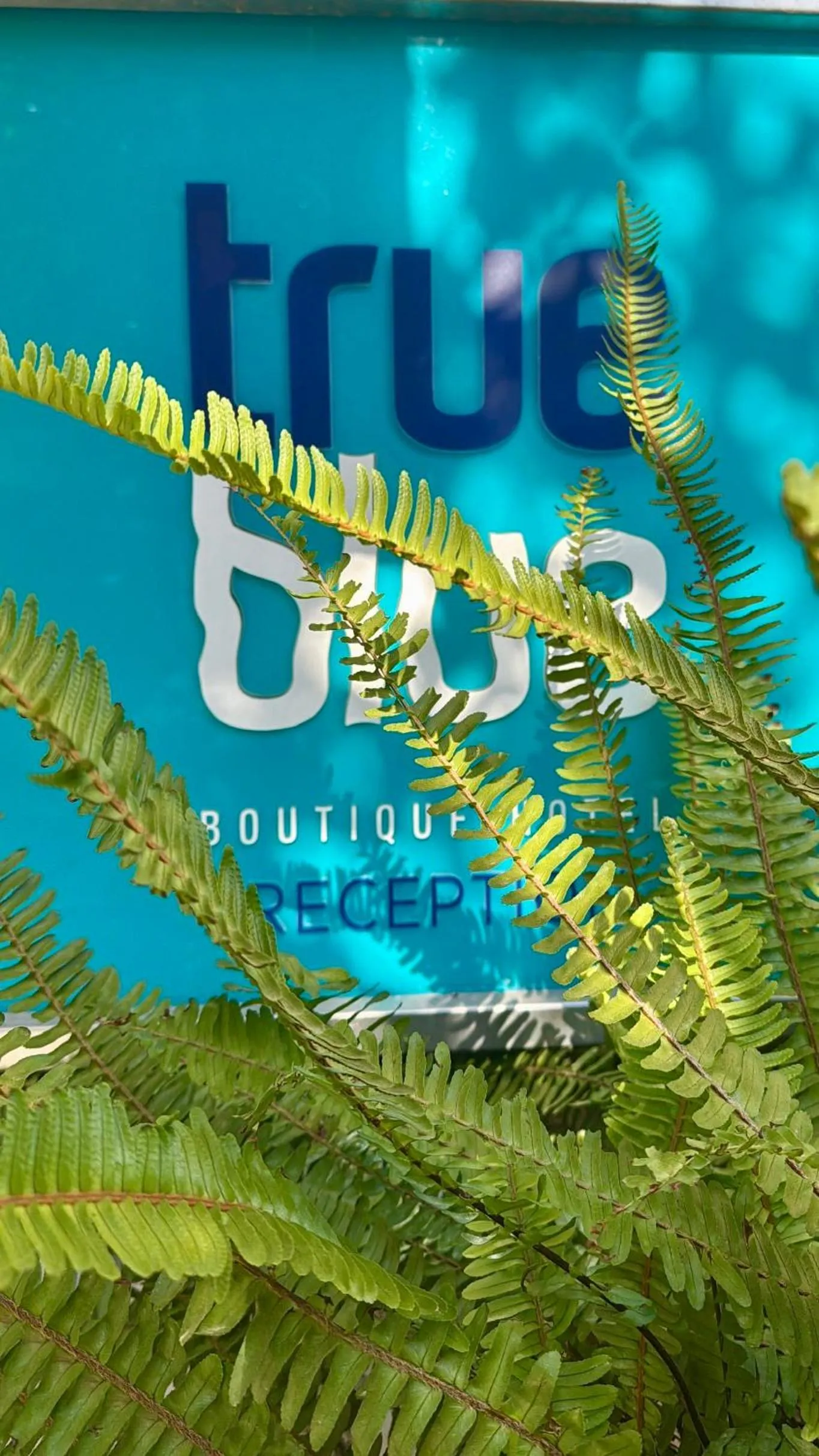 Property building in True Blue Boutique Hotel Kalkan