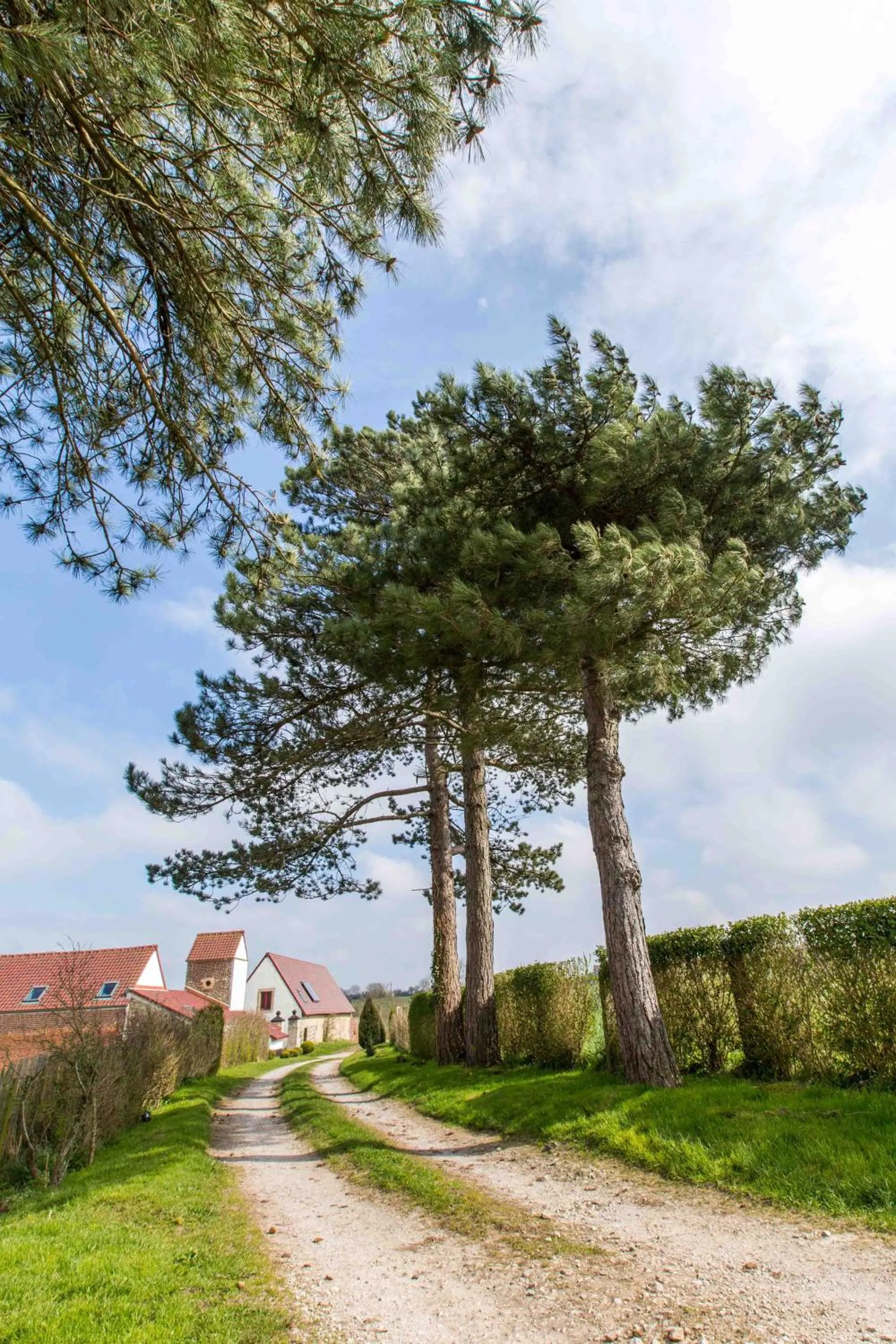 Garden in Alex Factory Gites et Chambres d'hôtes Côte d'Opale