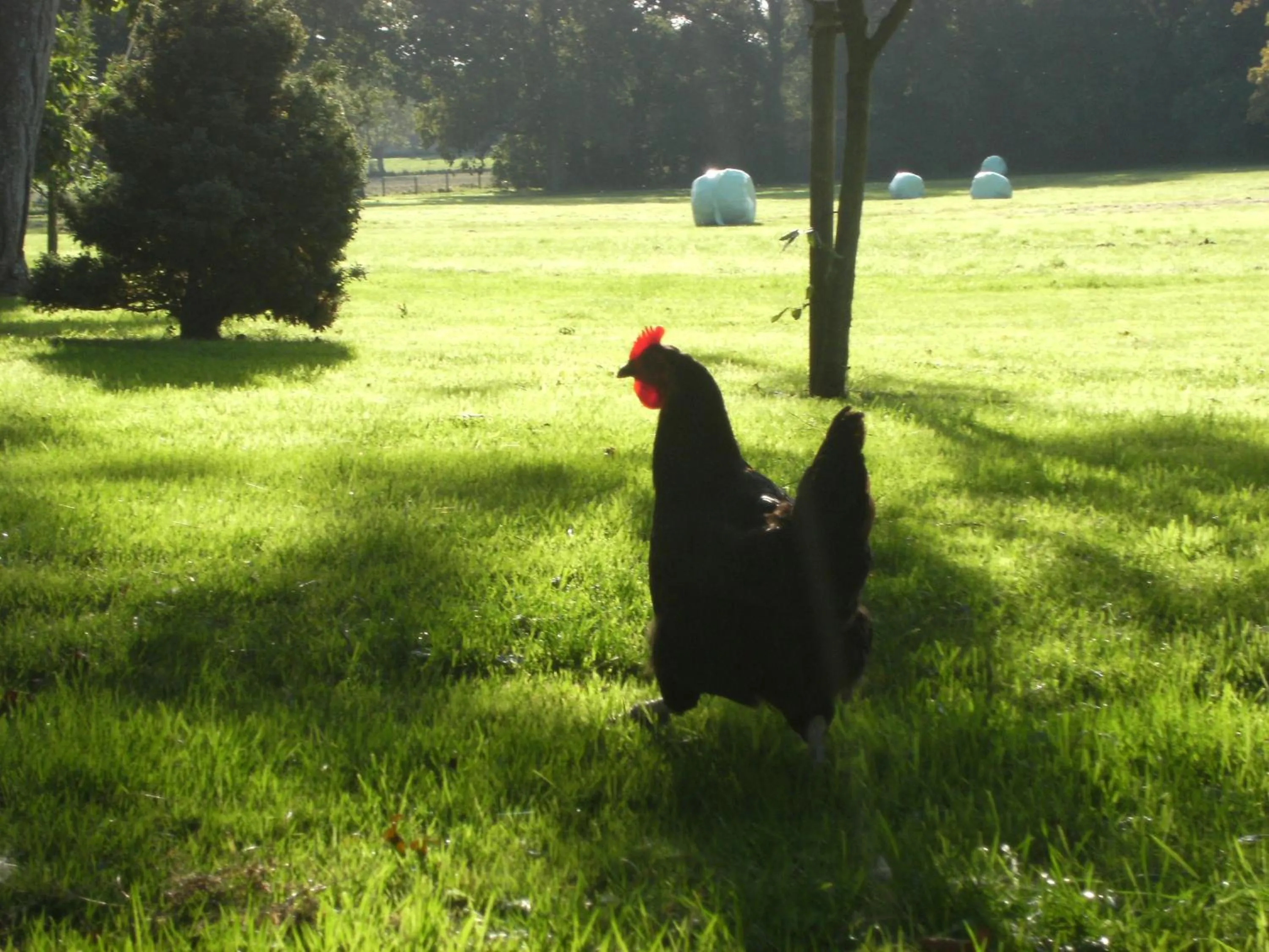 Day in Alex Factory Gites et Chambres d'hôtes Côte d'Opale