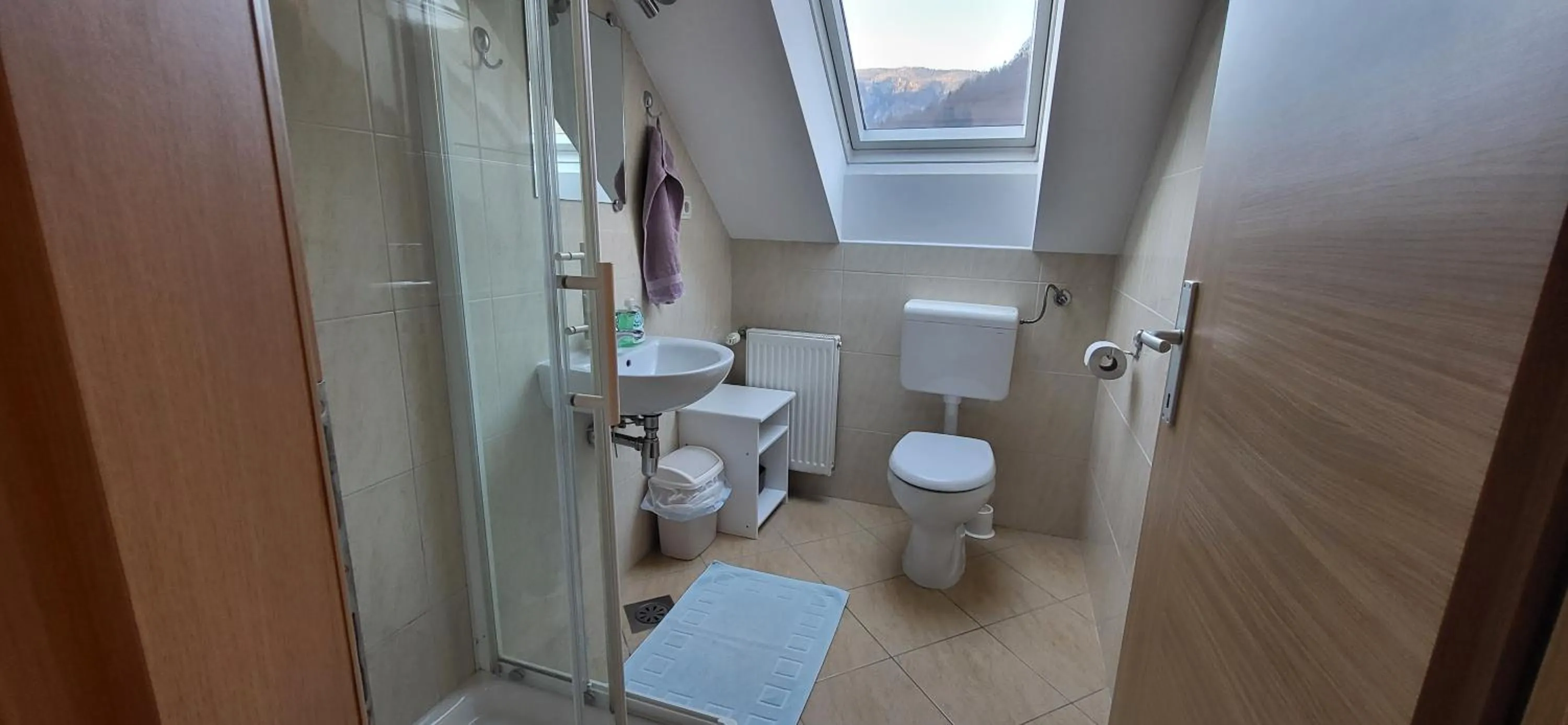 Bathroom in Apartments & Hostel Bohinj