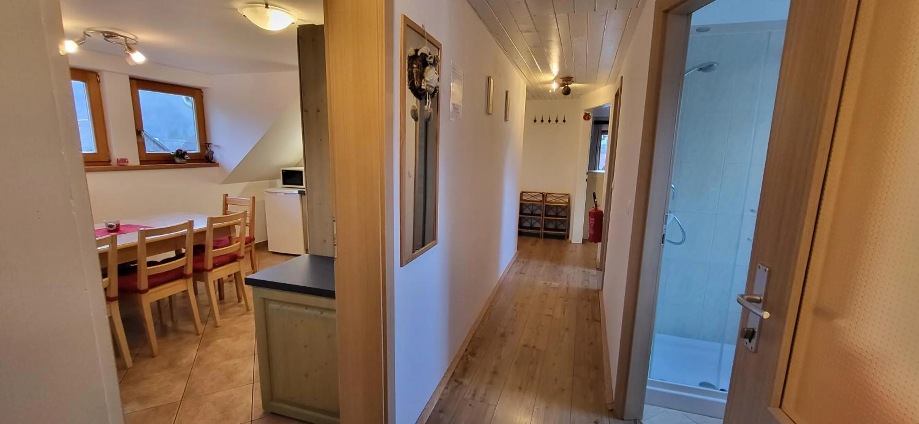 Kitchen or kitchenette in Apartments & Hostel Bohinj