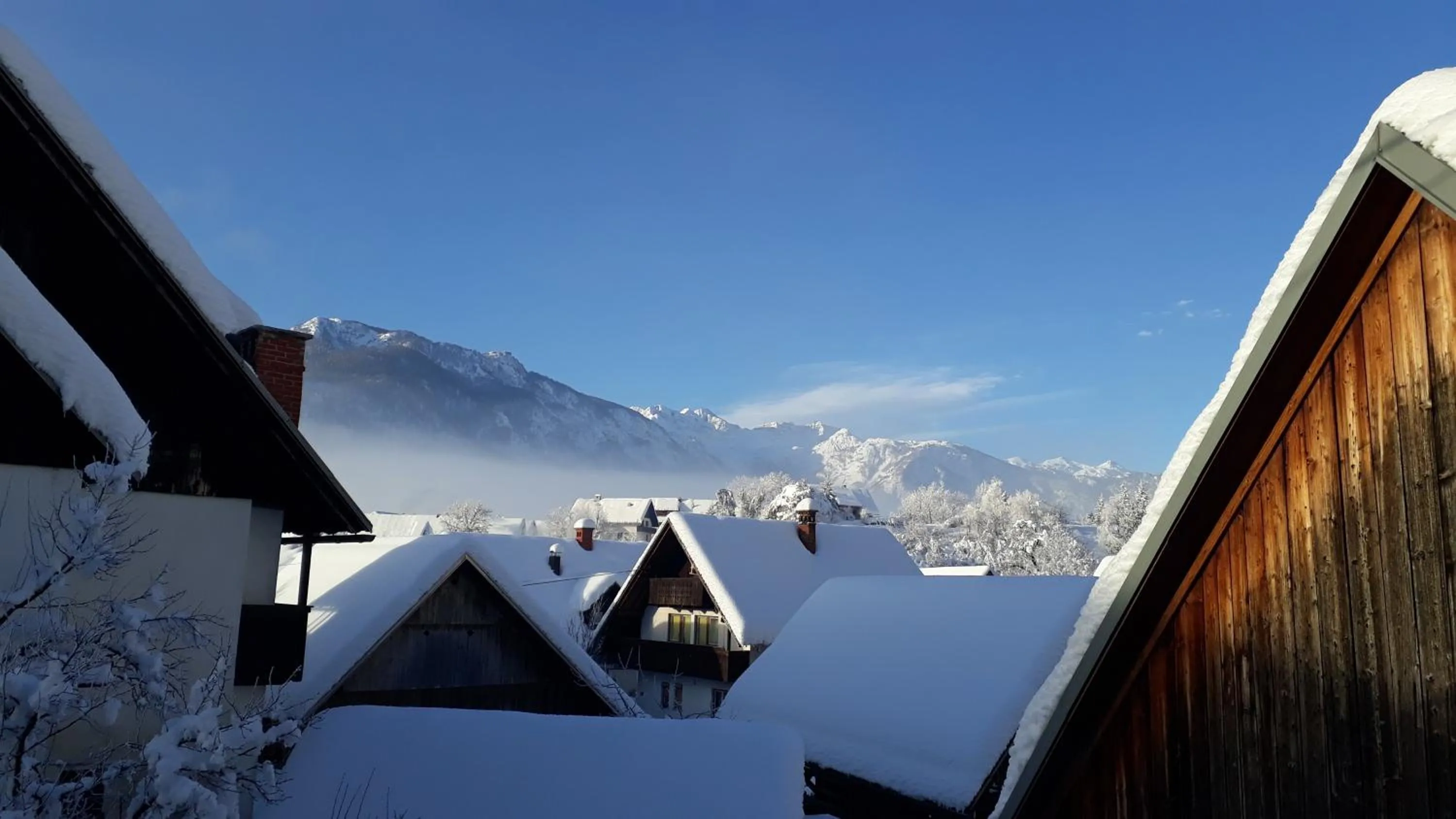 Winter in Apartments & Hostel Bohinj