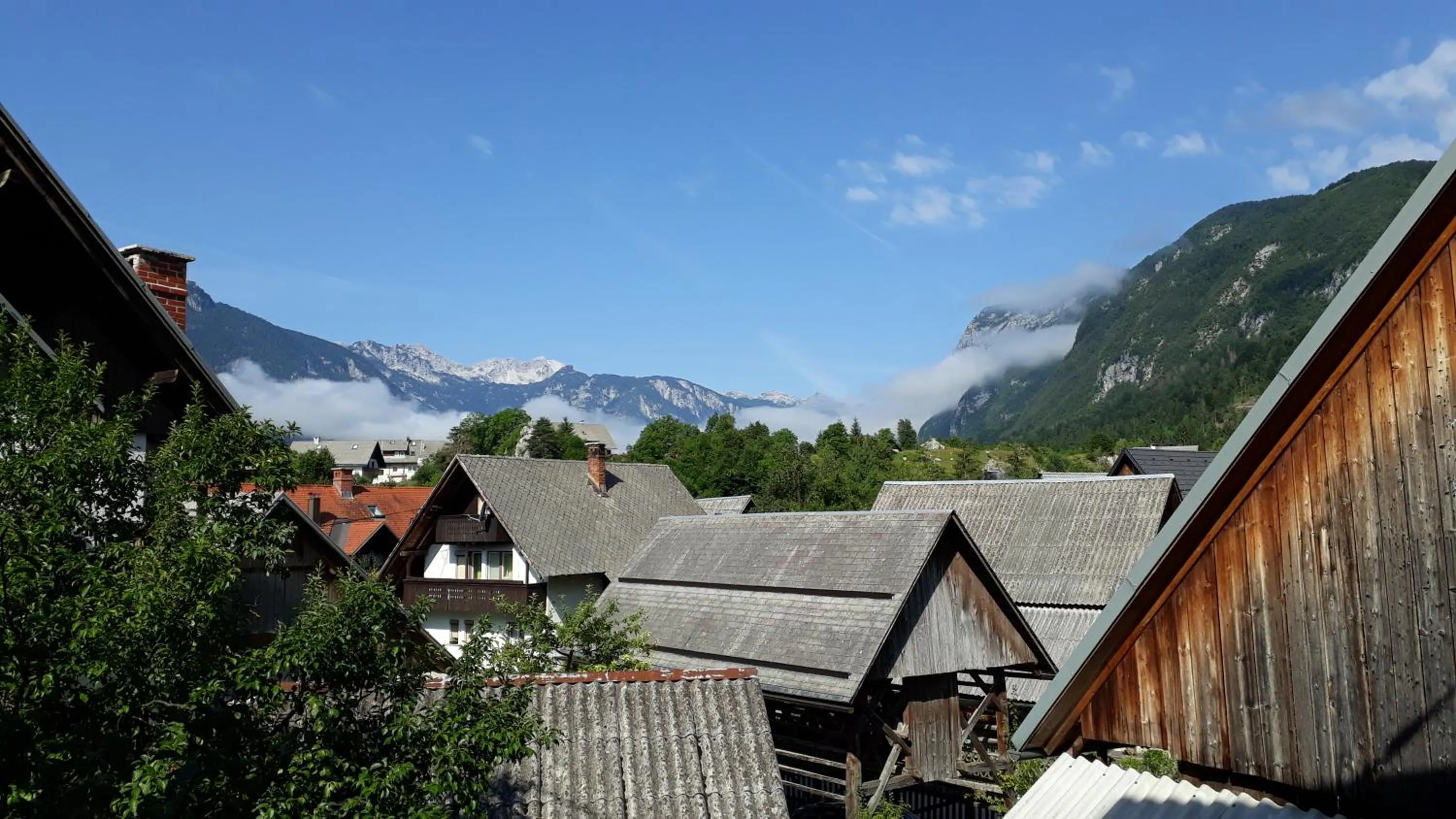 Natural landscape in Apartments & Hostel Bohinj