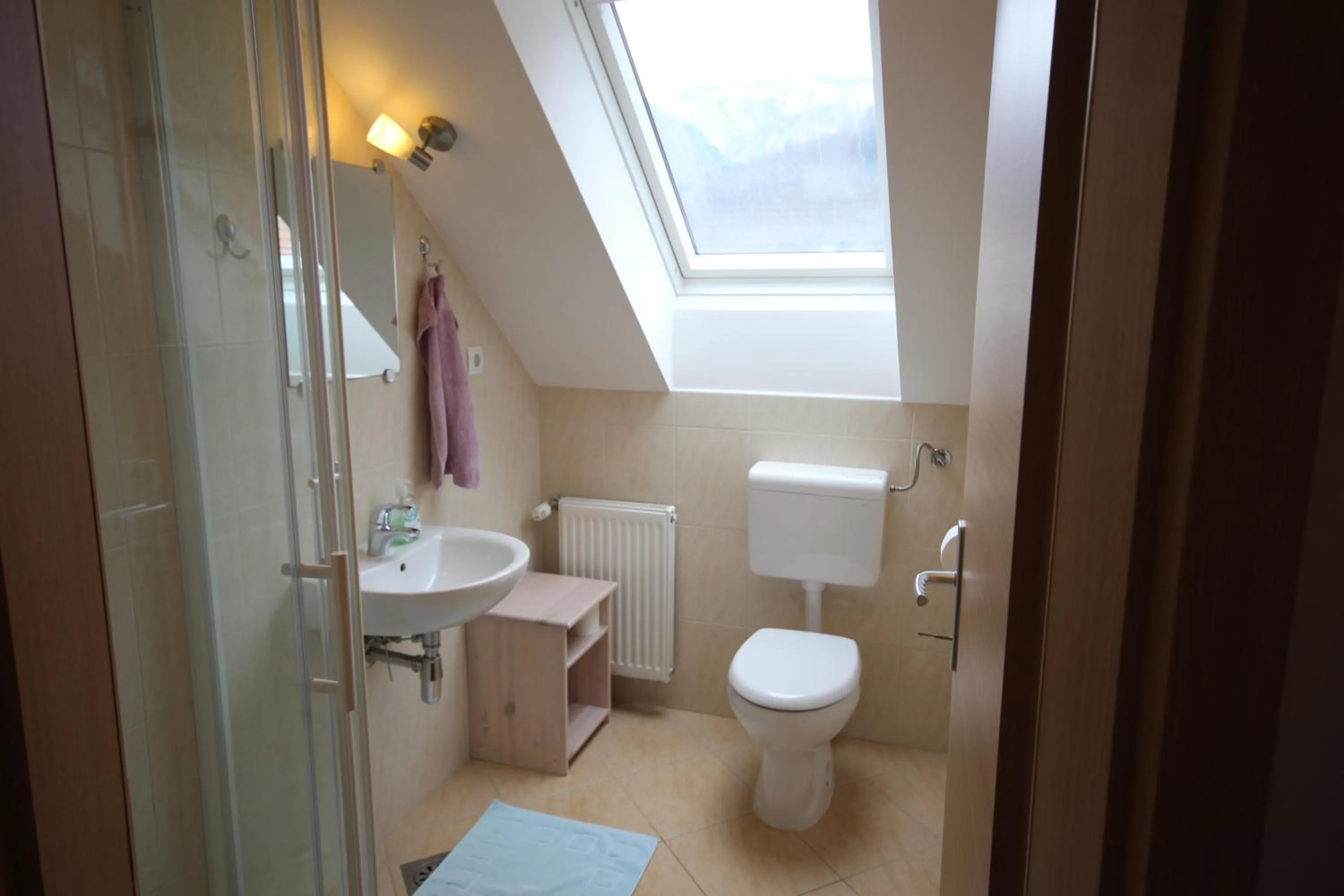 Bathroom in Apartments & Hostel Bohinj