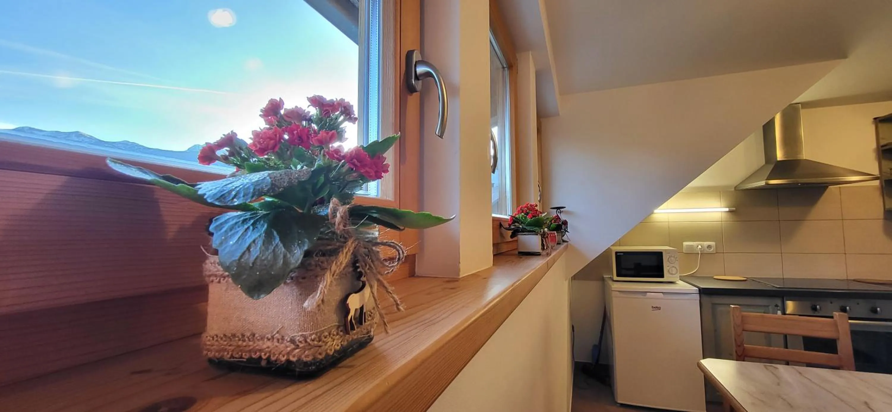 Kitchen or kitchenette in Apartments & Hostel Bohinj