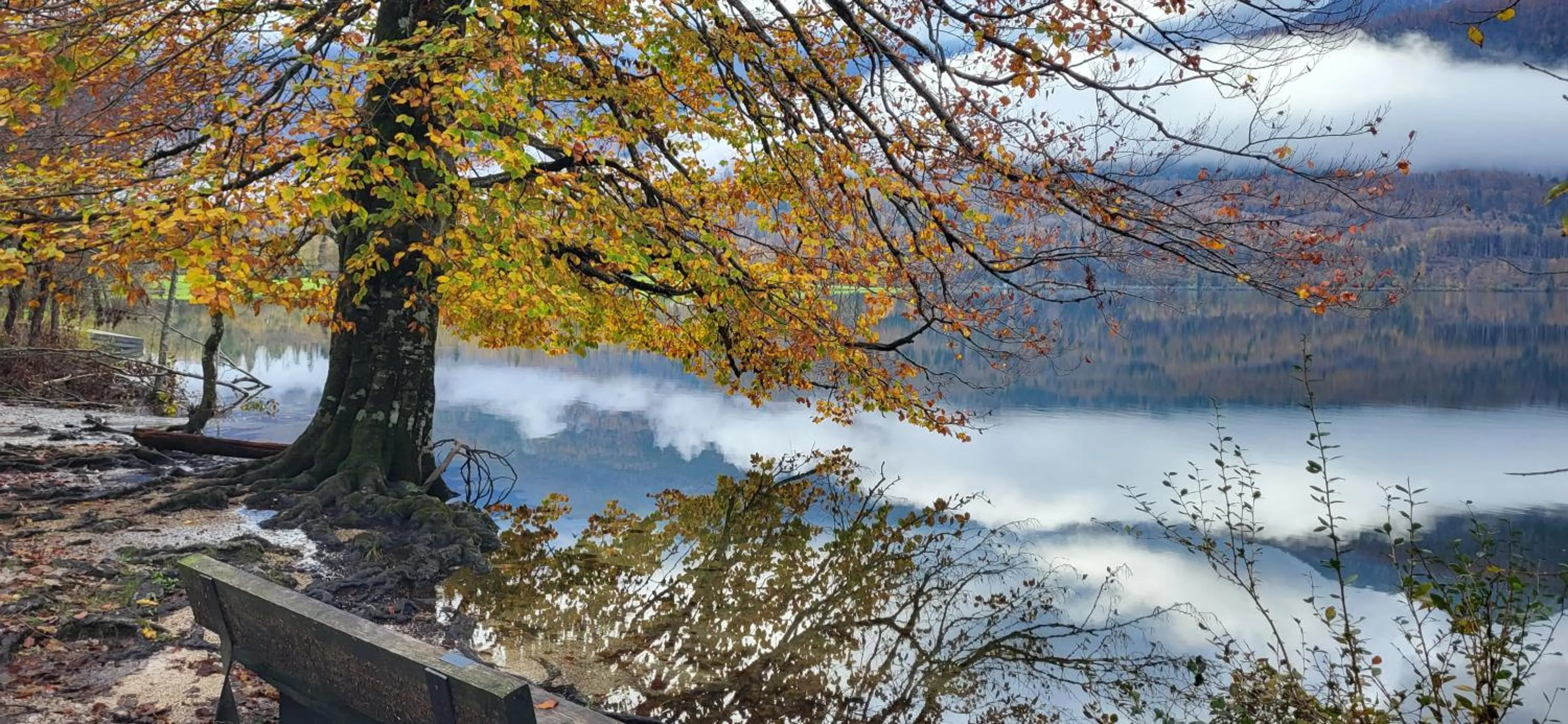 Nearby landmark in Apartments & Hostel Bohinj