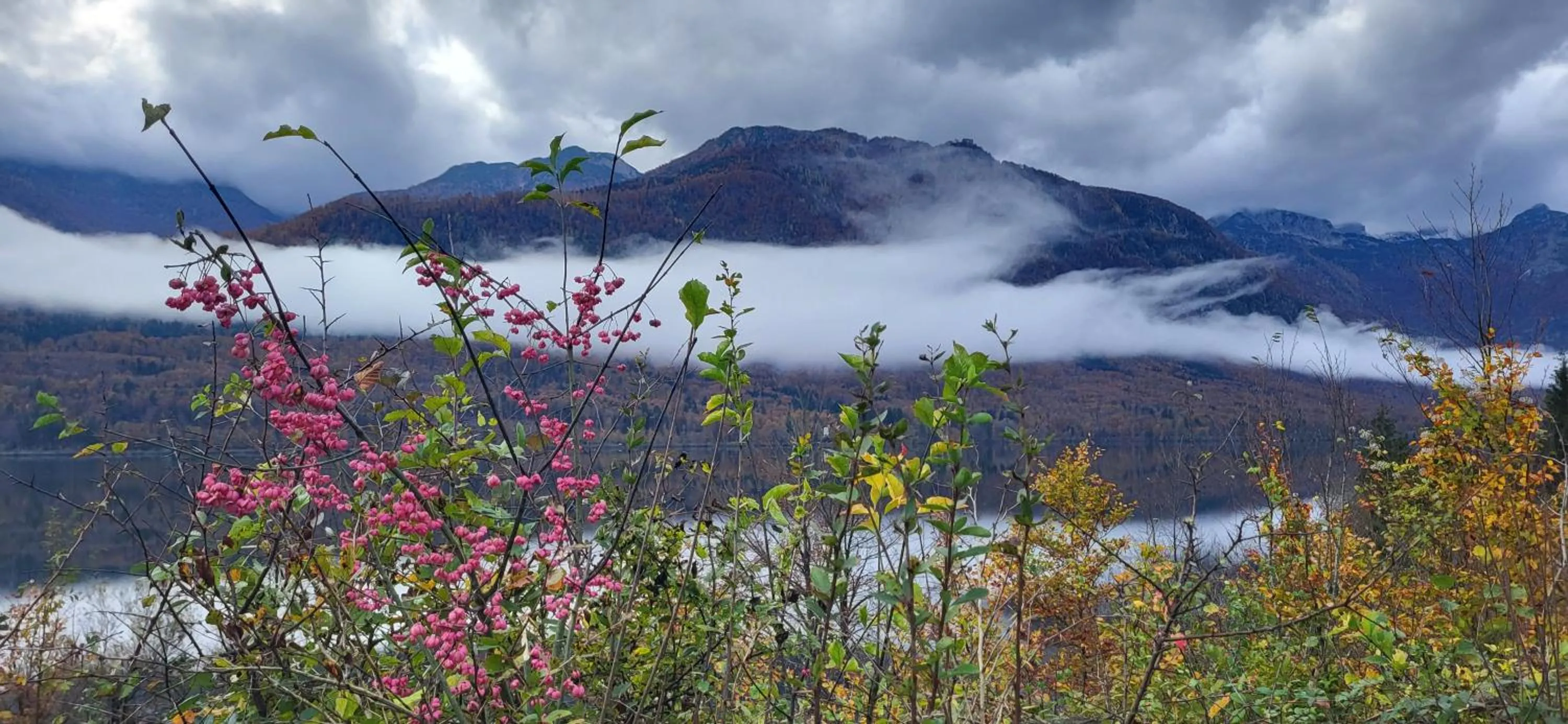 Nearby landmark in Apartments & Hostel Bohinj