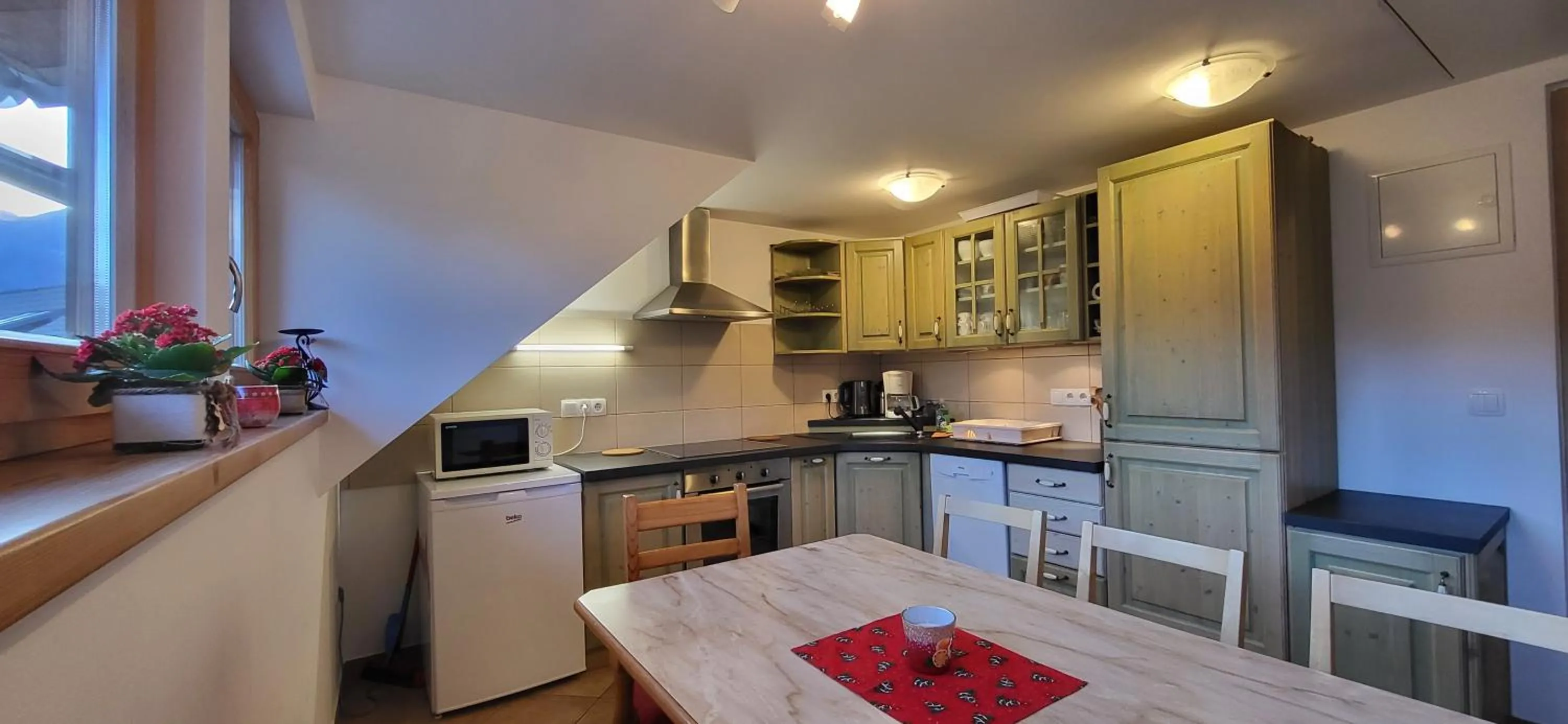 Kitchen or kitchenette in Apartments & Hostel Bohinj