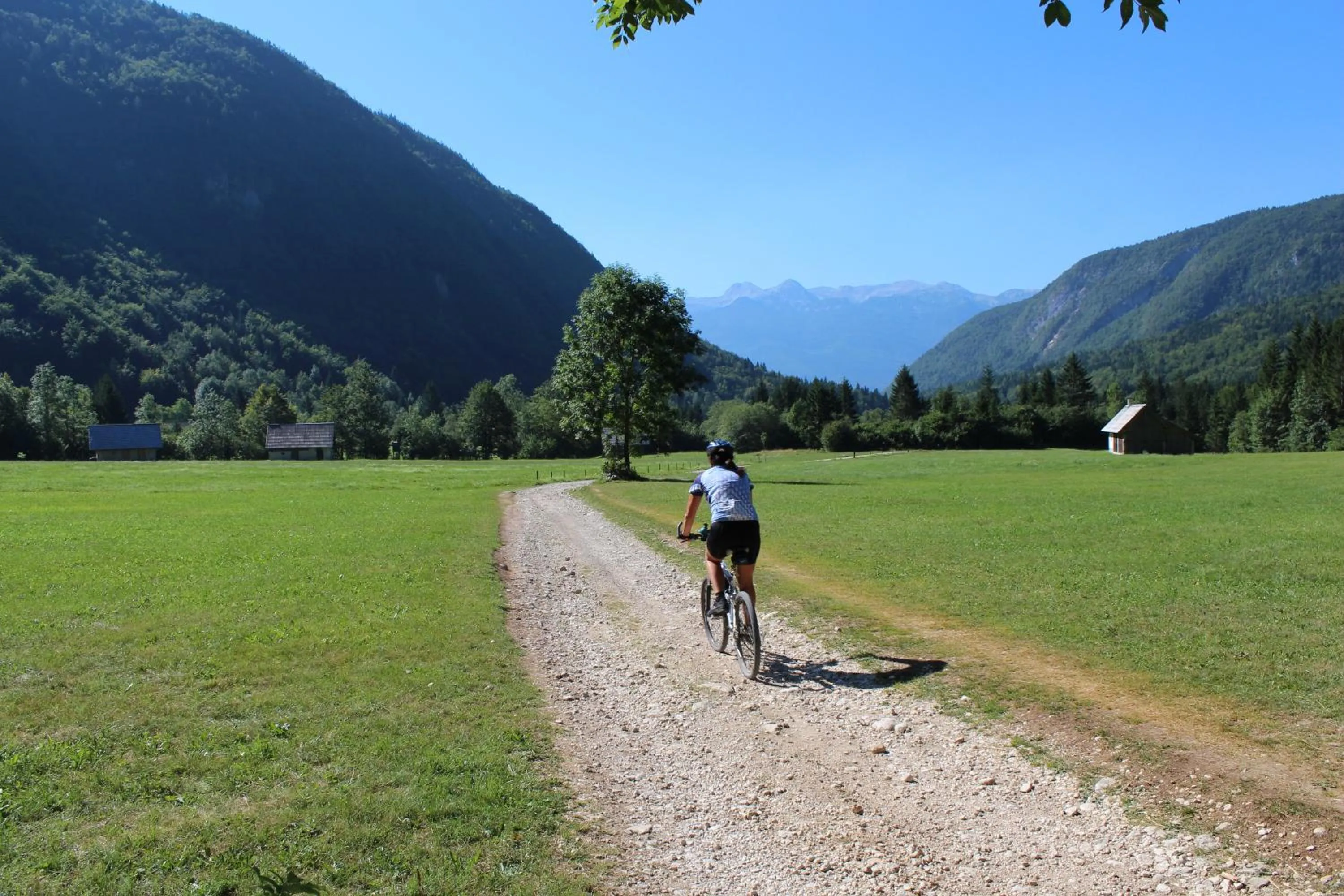 Cycling in Apartments & Hostel Bohinj