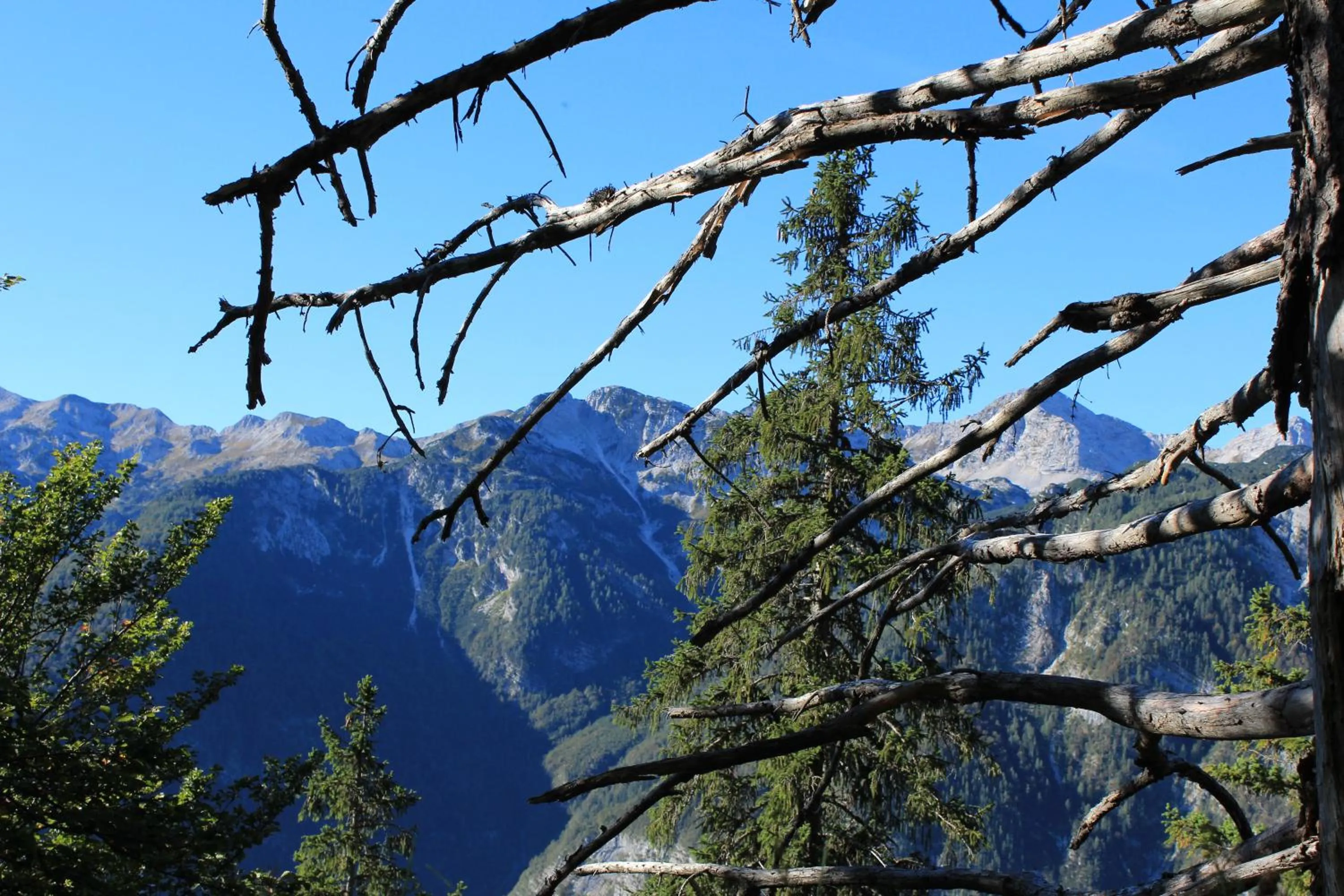 Other in Apartments & Hostel Bohinj