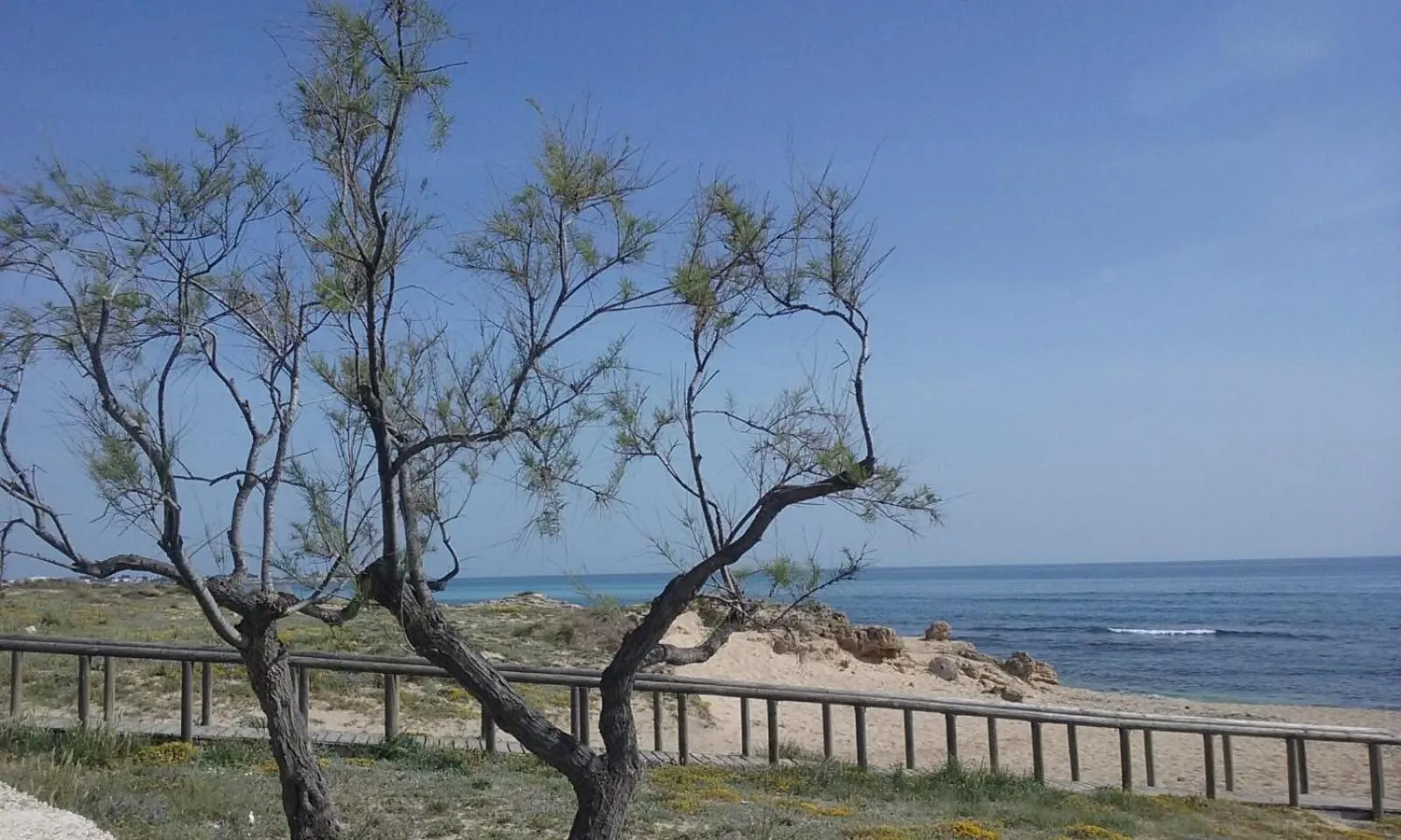 Property building in B&B Letizia