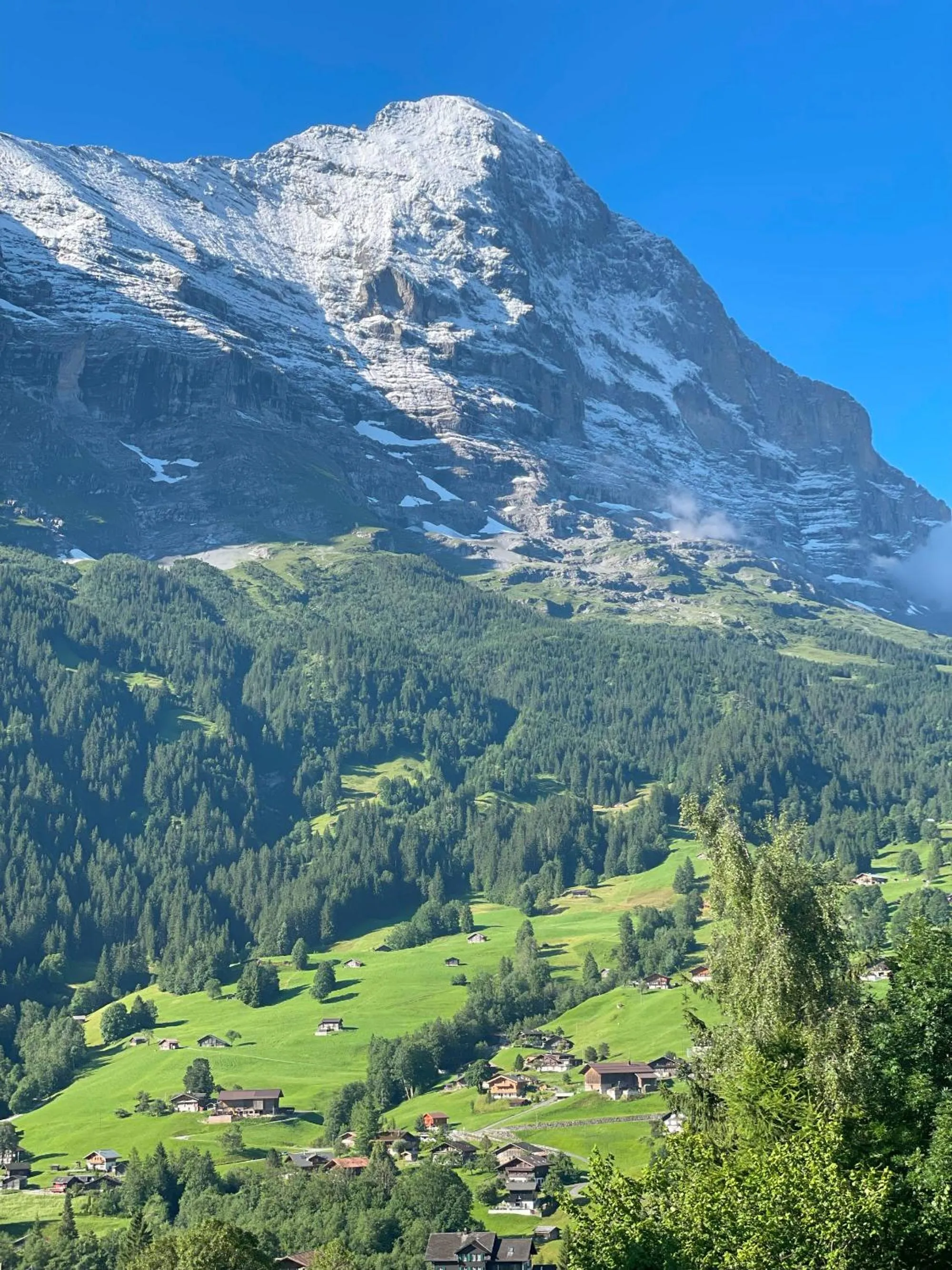 Mountain view in Jungfrau Lodge, Annex Crystal