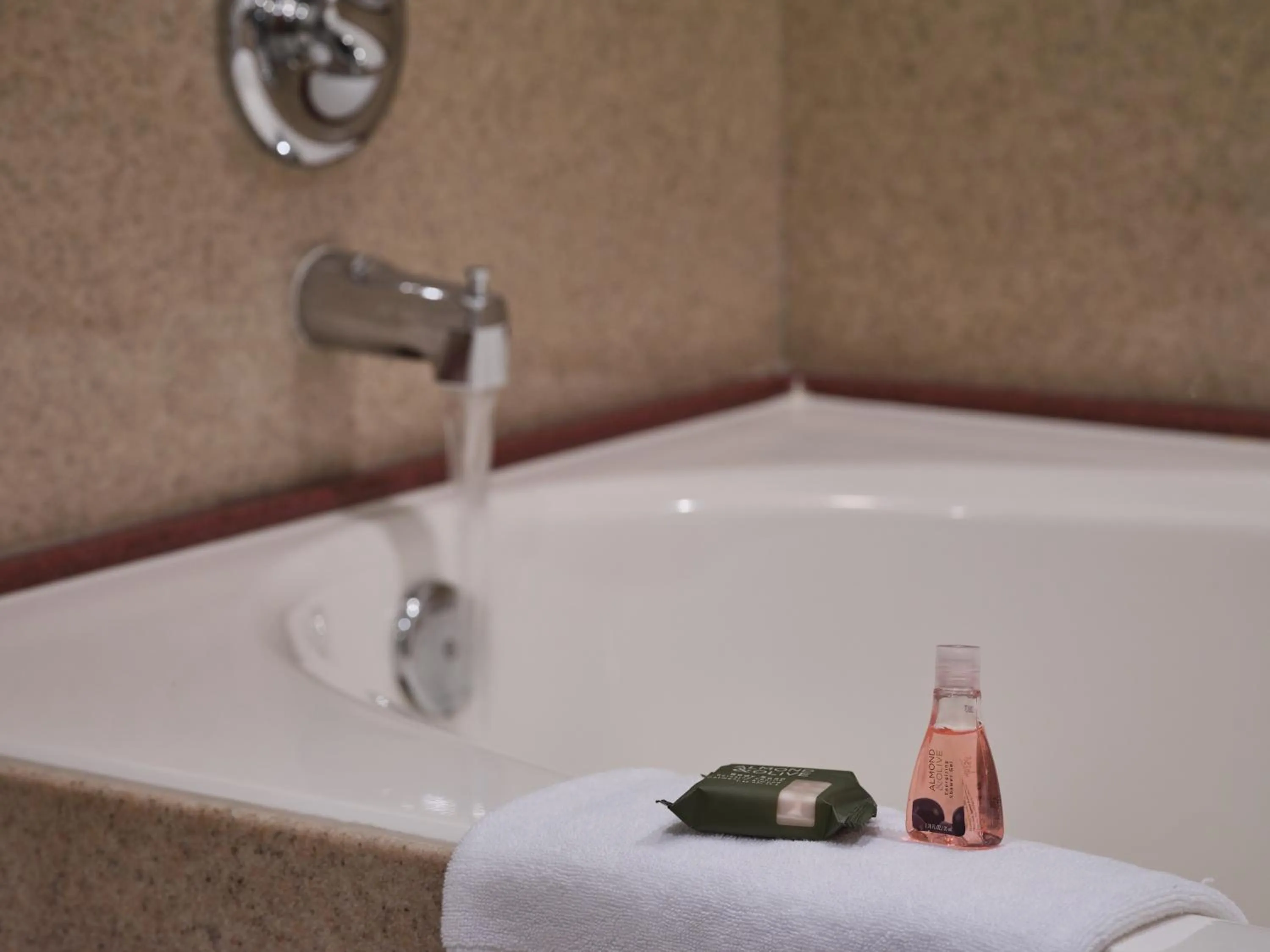 Bathroom in Zermatt Utah Resort & Spa Trademark Collection by Wyndham