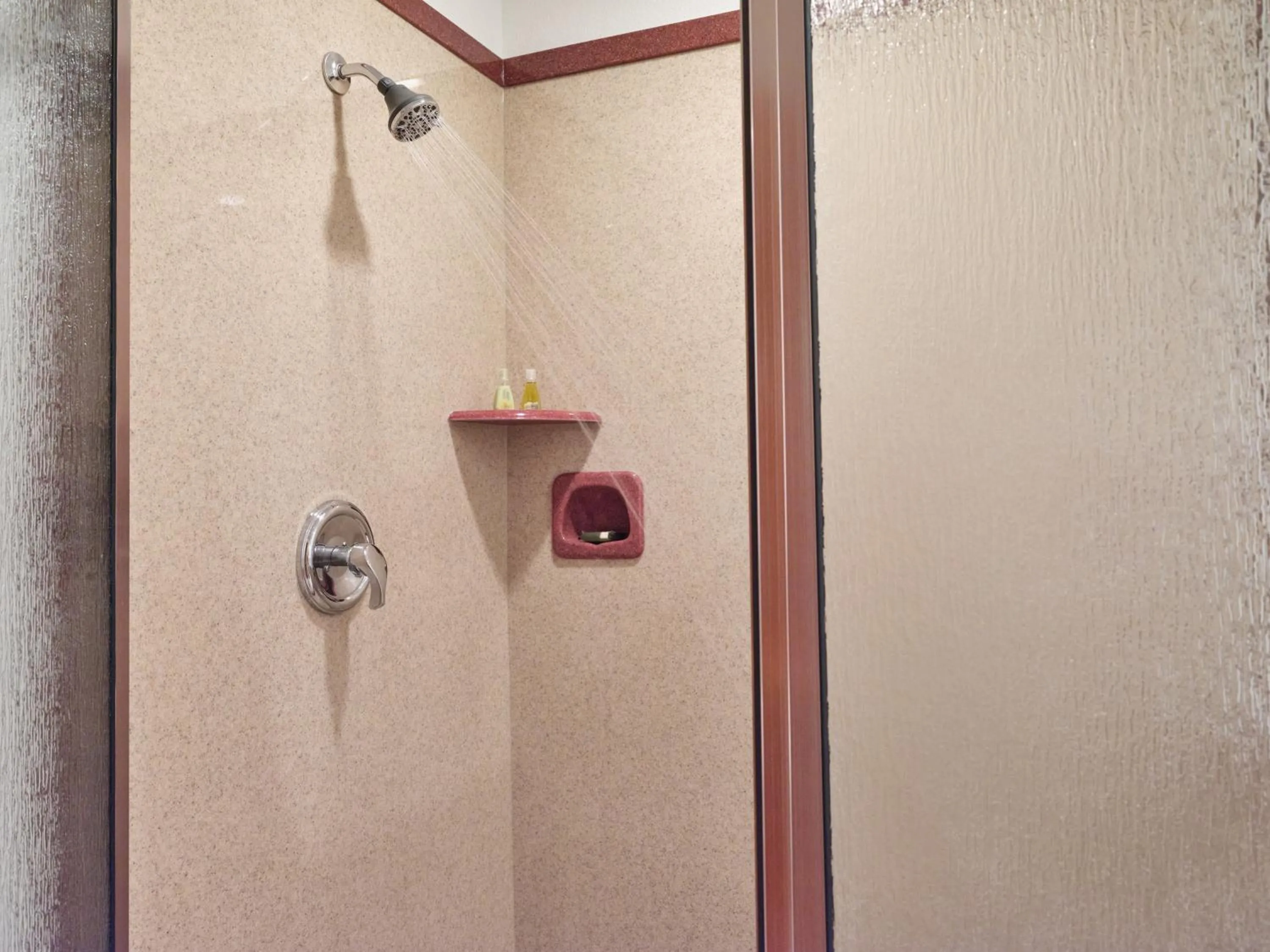 Shower in Zermatt Utah Resort & Spa Trademark Collection by Wyndham