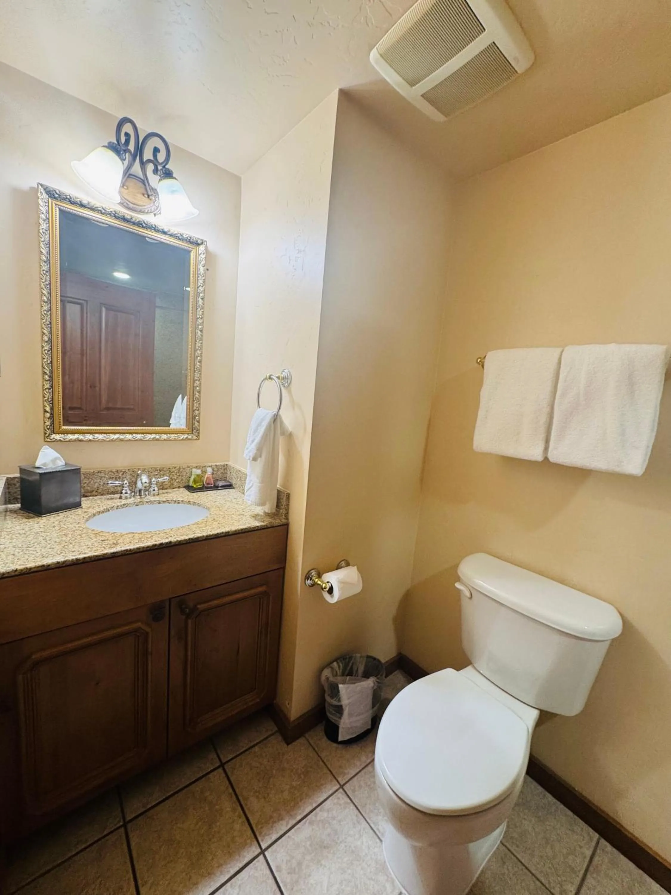 Bathroom in Zermatt Utah Resort & Spa Trademark Collection by Wyndham