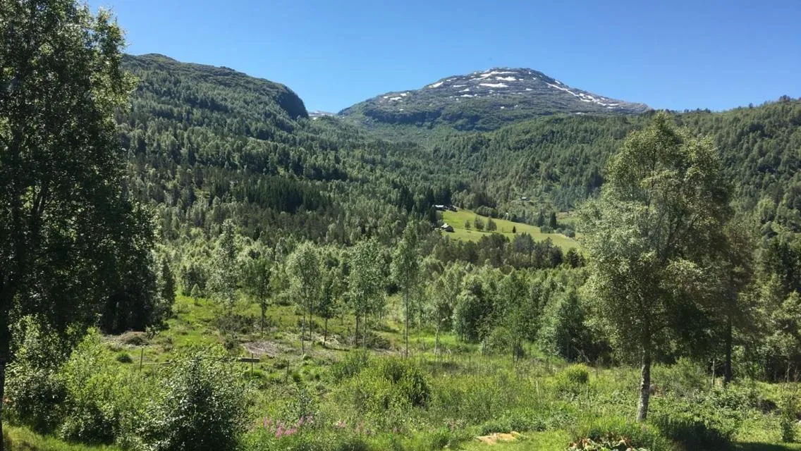 Voss Lodge Rongastovo