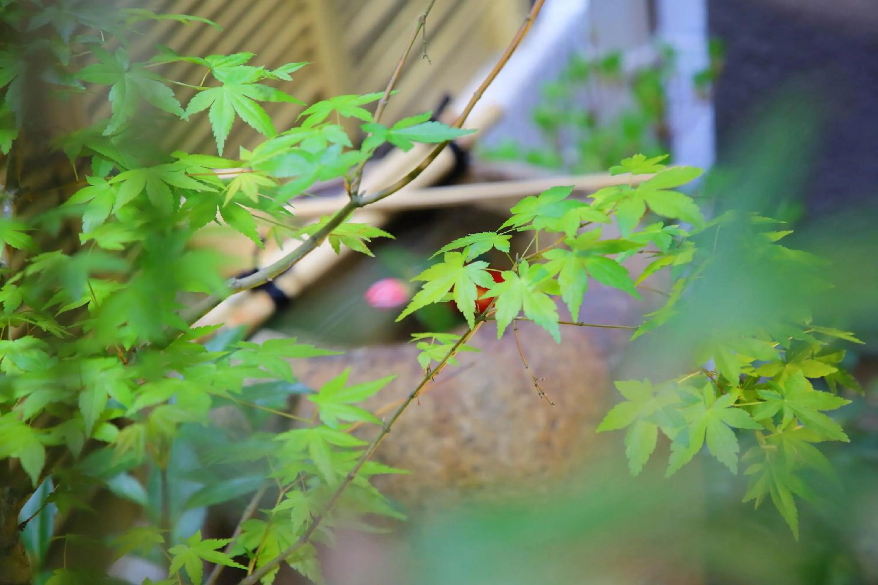 Kyo Machiya Ryokan Yuan