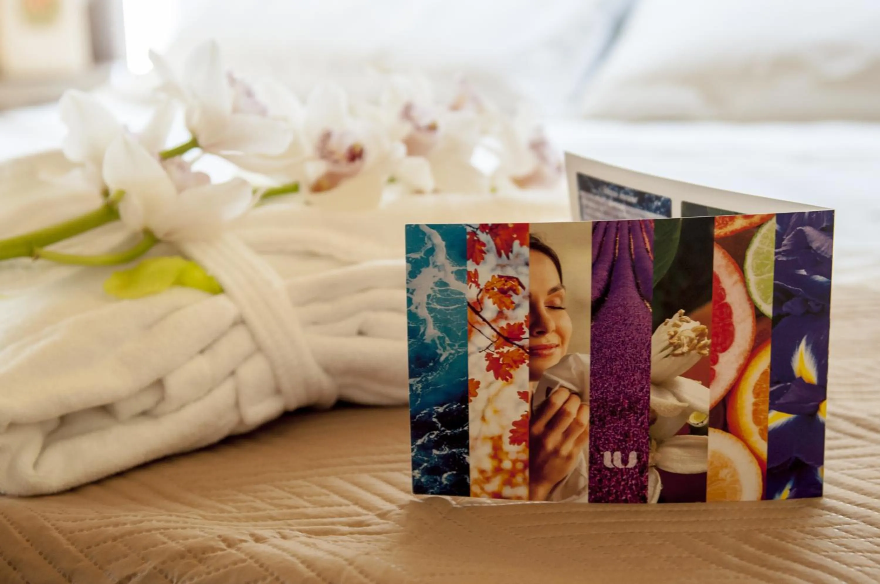 Other in Cataleya Resort & Spa