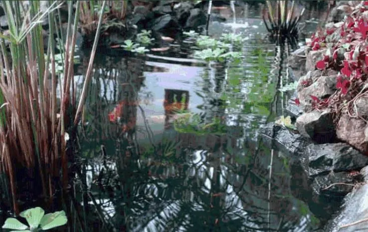 Other in Pousada Coqueiro Verde