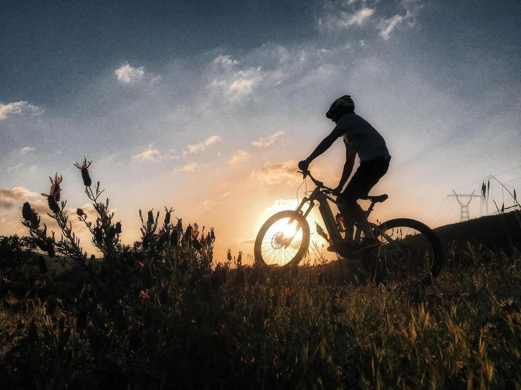 Activities in Quinta do Pé Descalço - Country Guesthouse in Sintra