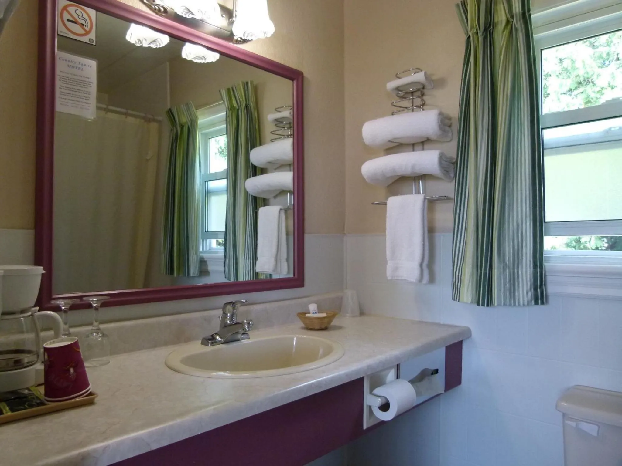 Toilet in Country Squire Motel