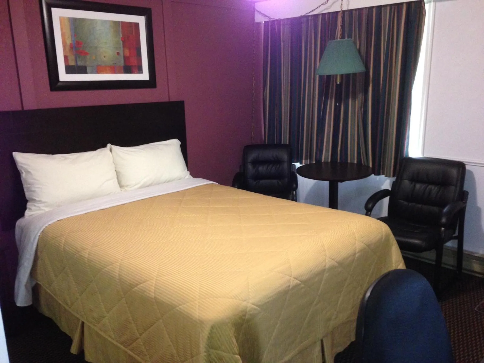 Bed in Country Squire Motel