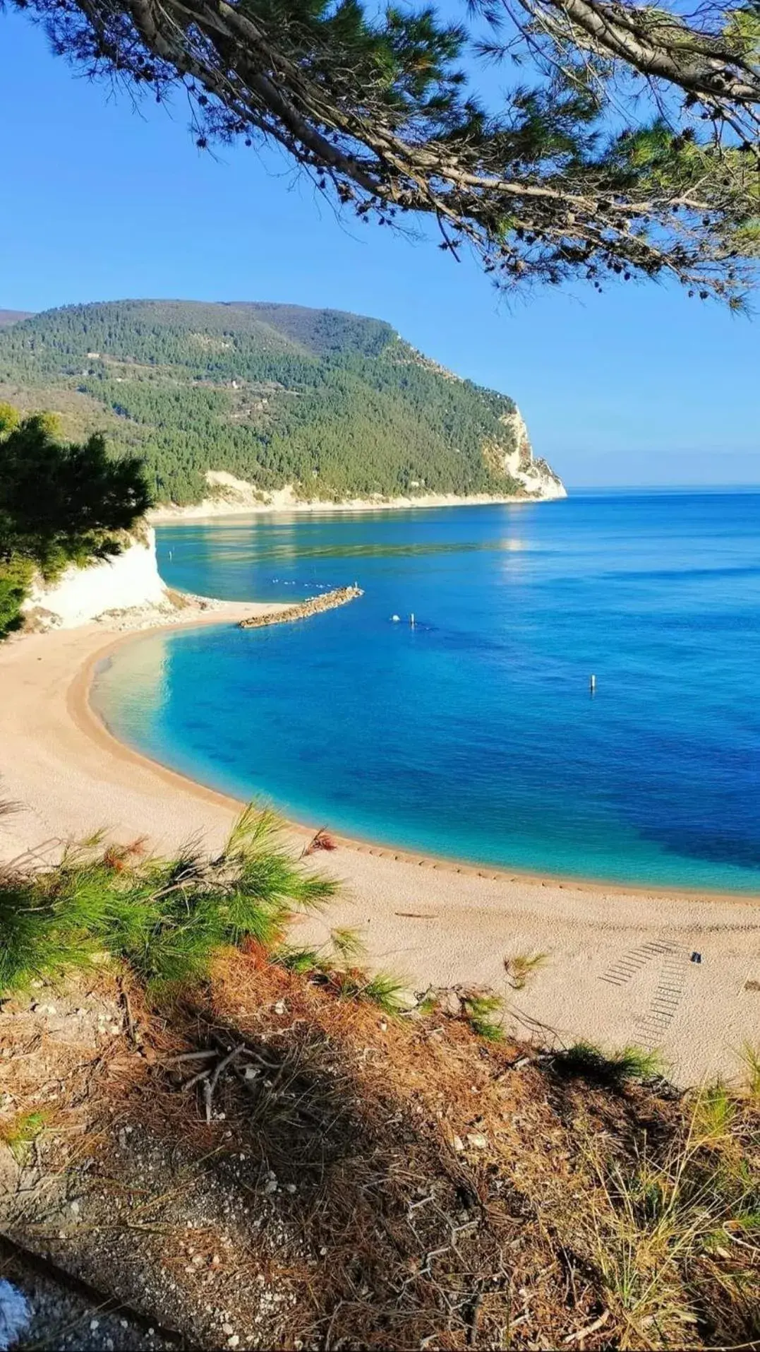 Affittacamere Villa Zelinda Affittacamere Villa Zelinda