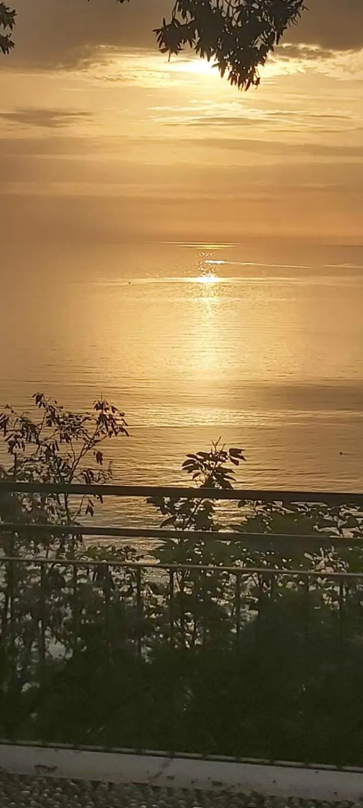 Affittacamere Villa Zelinda