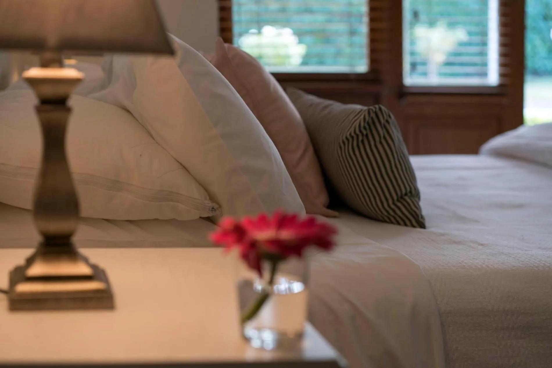 Bed in Thistle Hill Guesthouse - walk to many wineries and restaurants