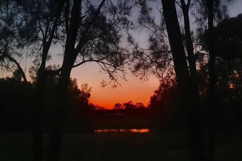 Natural landscape in Thistle Hill Guesthouse - walk to many wineries and restaurants