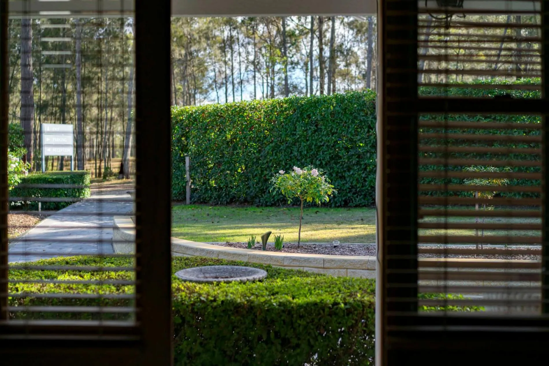 Garden view in Thistle Hill Guesthouse - walk to many wineries and restaurants