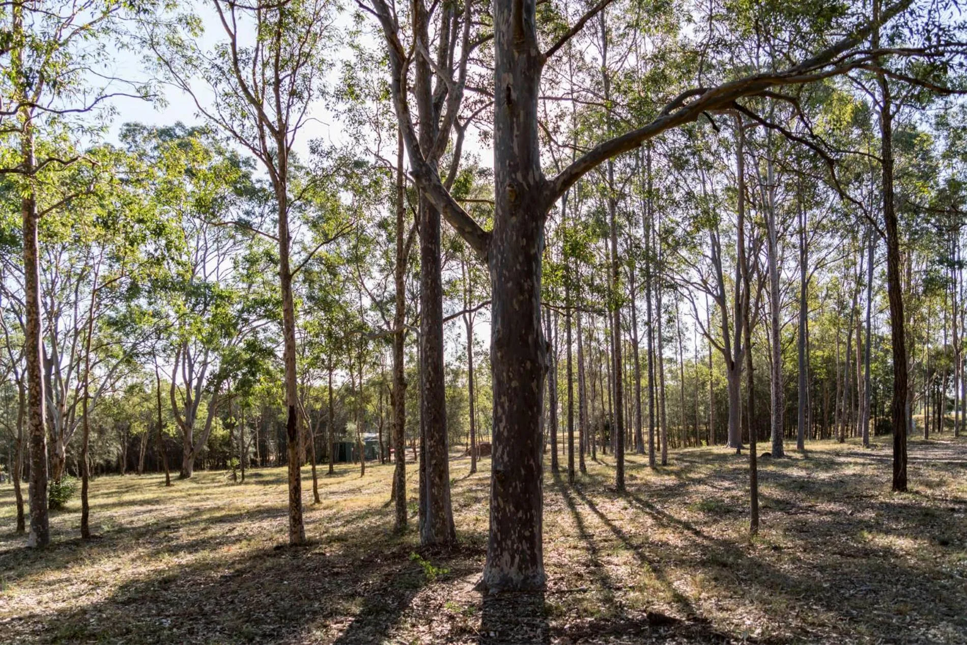 Thistle Hill Guesthouse - walk to many wineries and restaurants