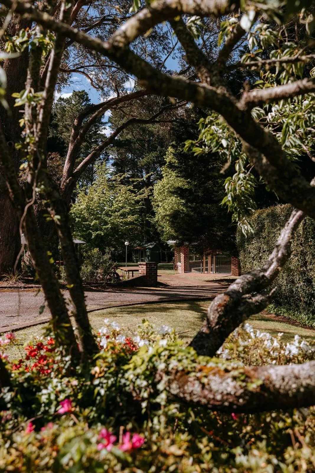 Federation Gardens & Possums Hideaway