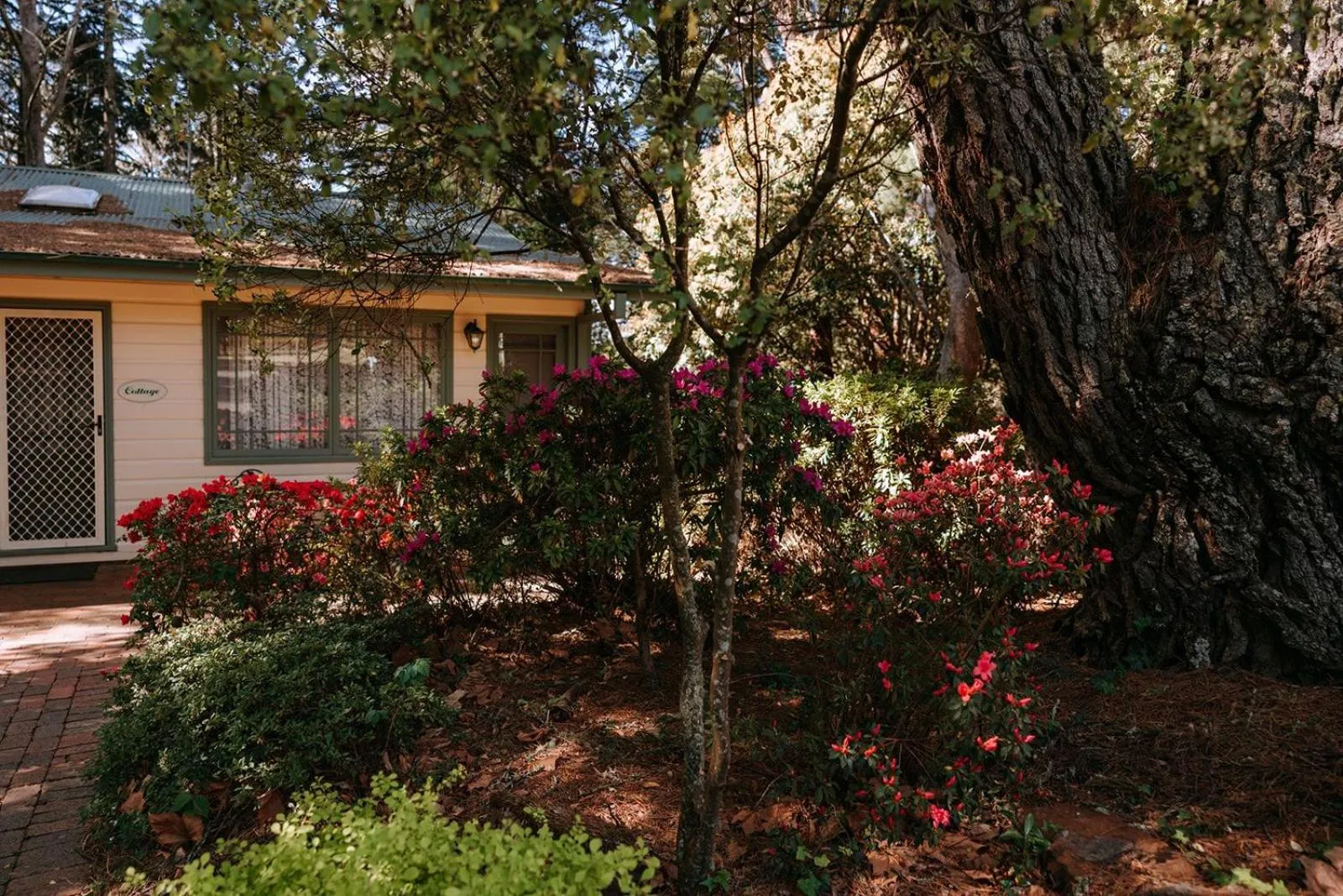 Federation Gardens & Possums Hideaway