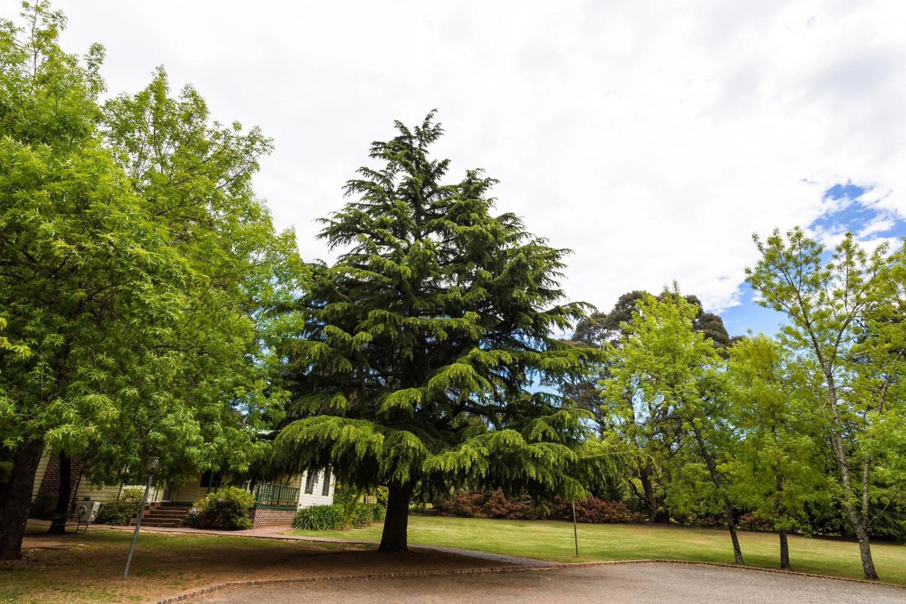 Natural landscape in Federation Gardens & Possums Hideaway