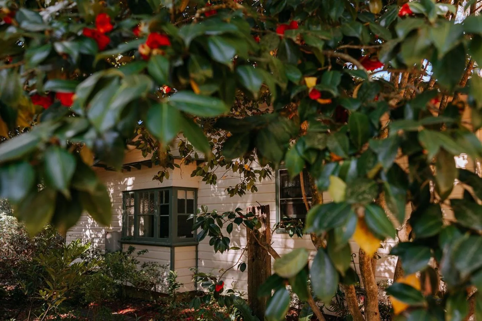 Federation Gardens & Possums Hideaway