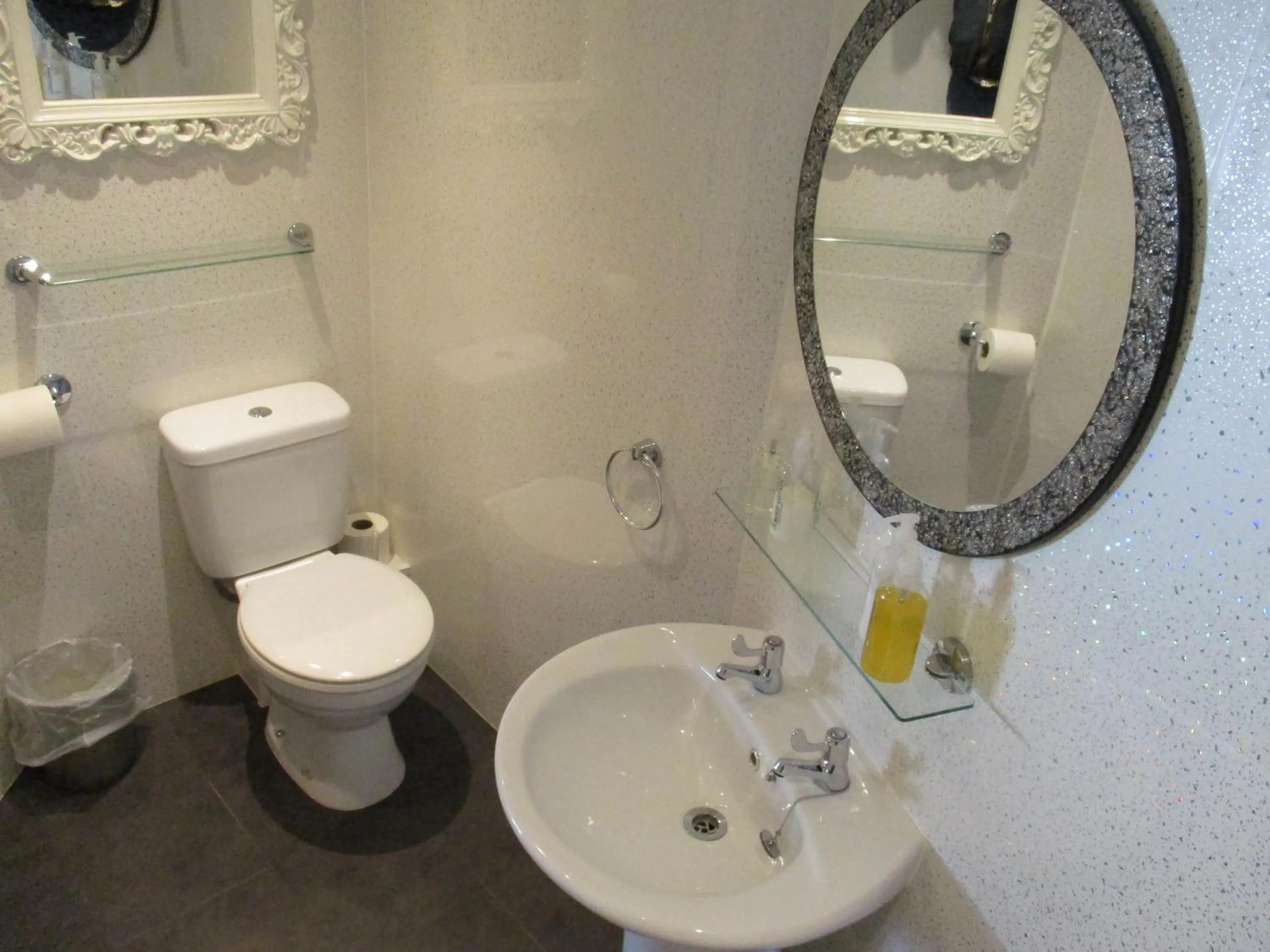 Toilet in The White Horse Inn