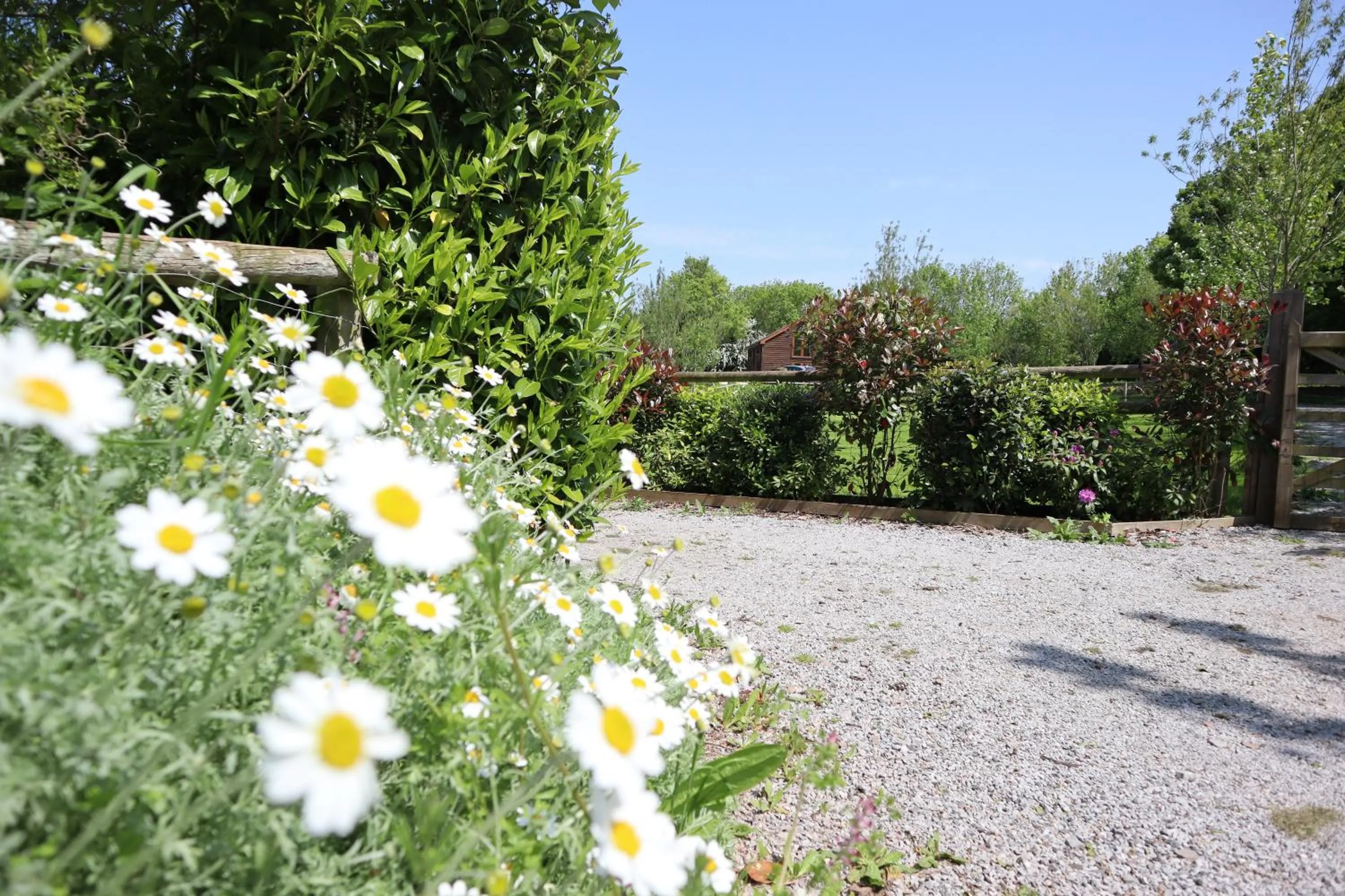 Spring in The White Horse Inn