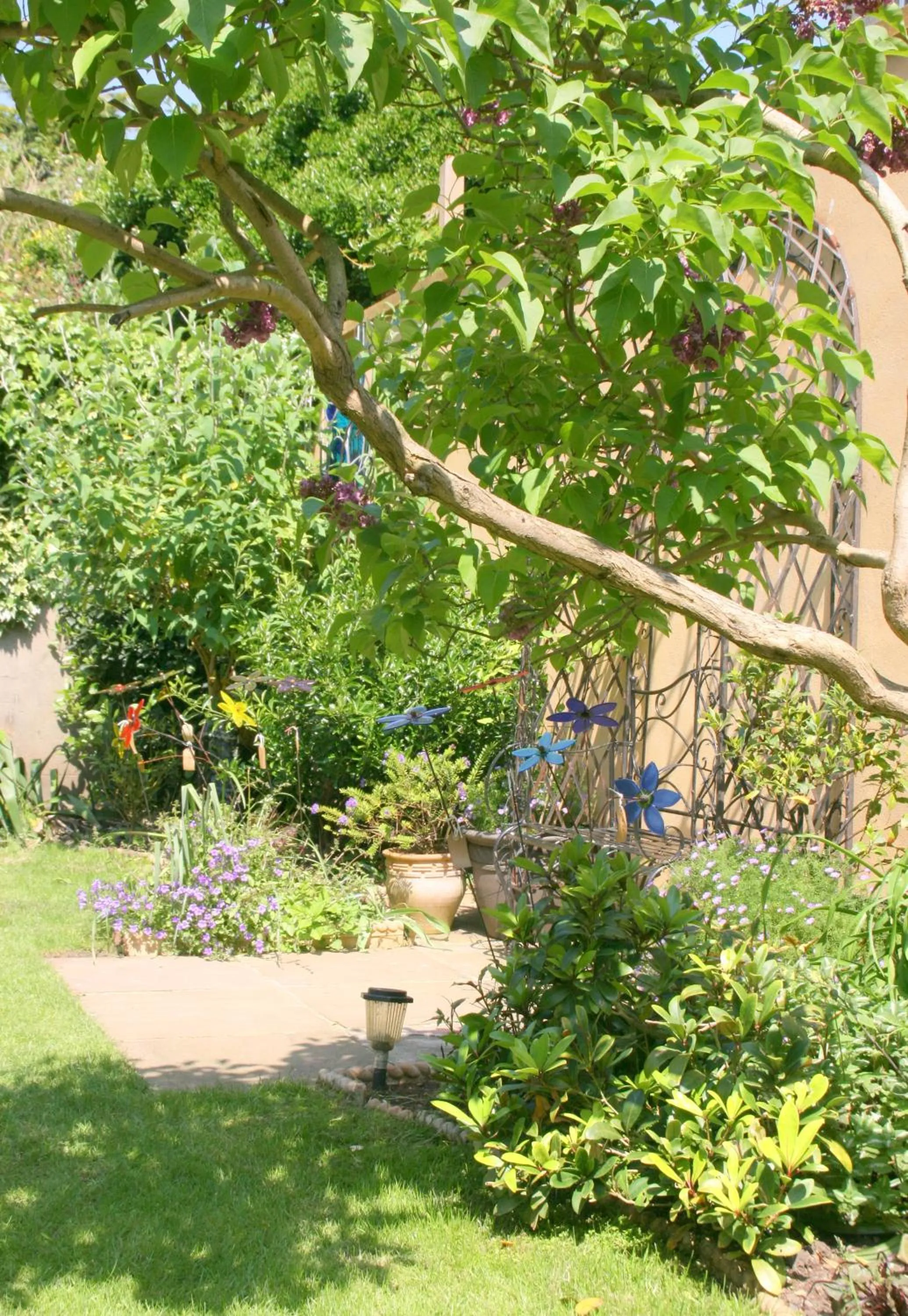 Garden in The Claremont