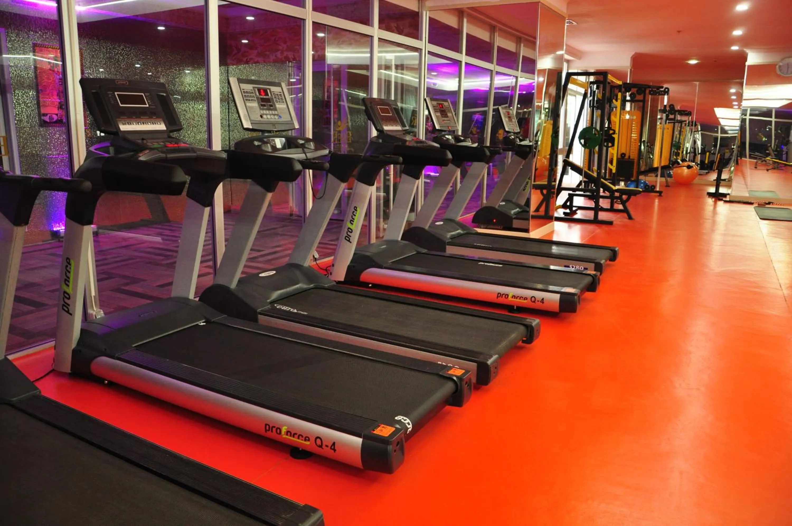 Fitness centre/facilities in Eser Diamond Hotel Spa & Convention Center İstanbul