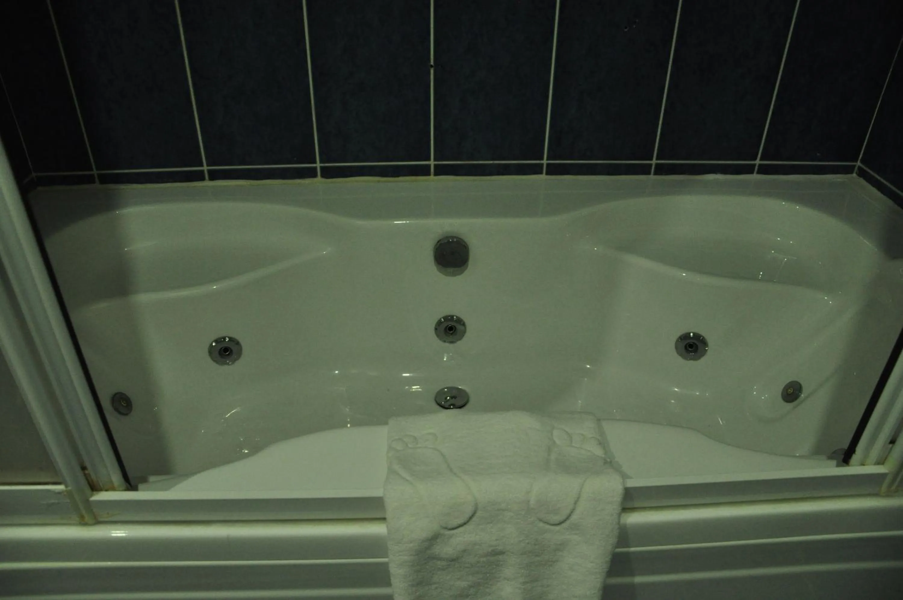 Shower in Eser Diamond Hotel Spa & Convention Center İstanbul